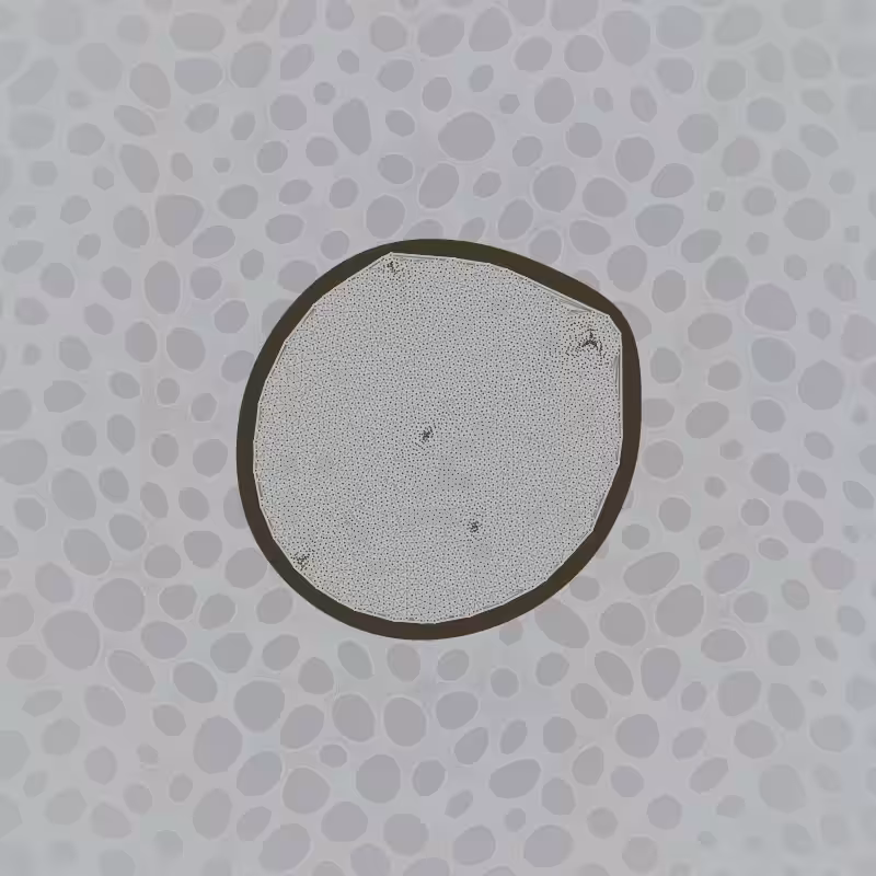 Protista #18