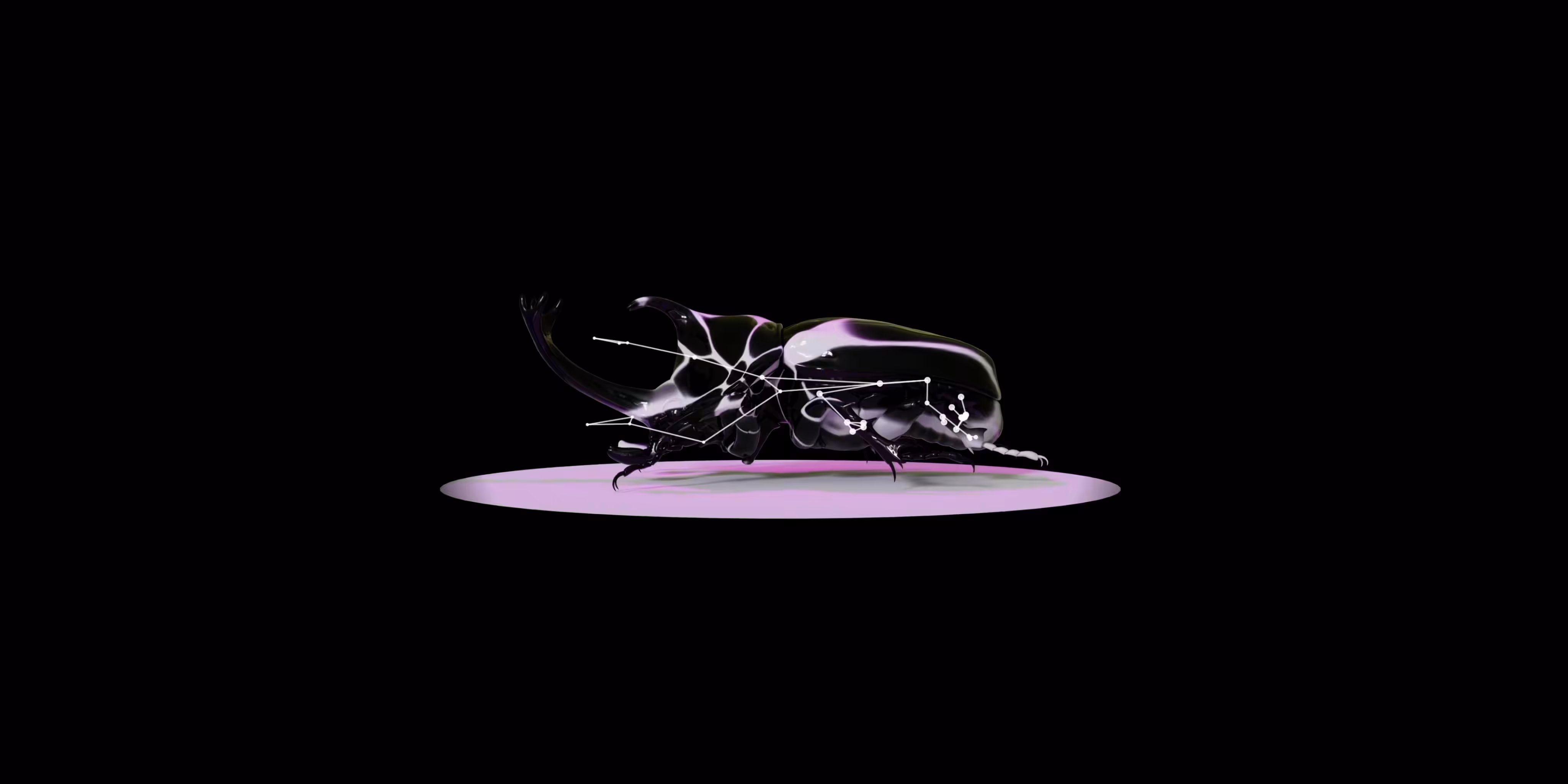 AI Beetle_ML1