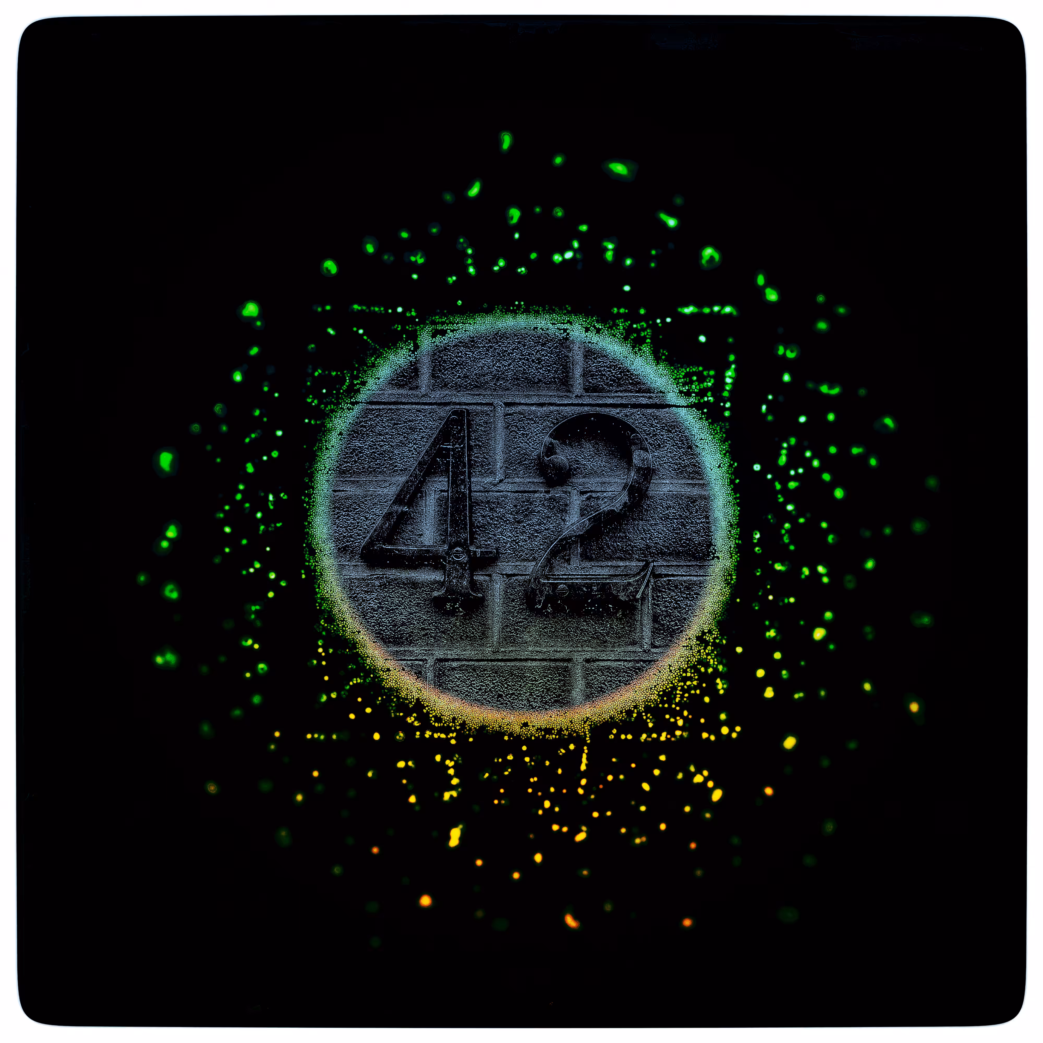 #42