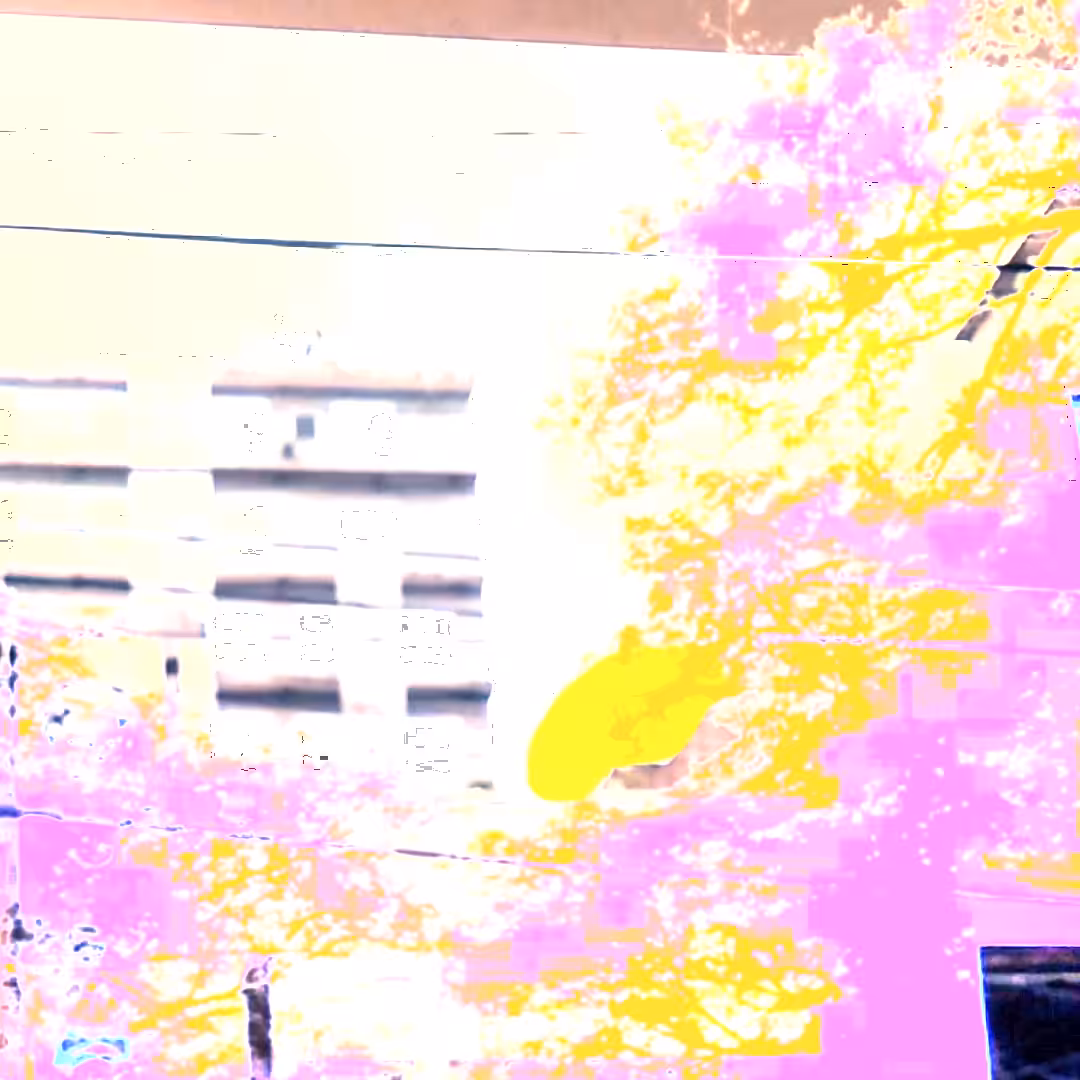 Transition 
