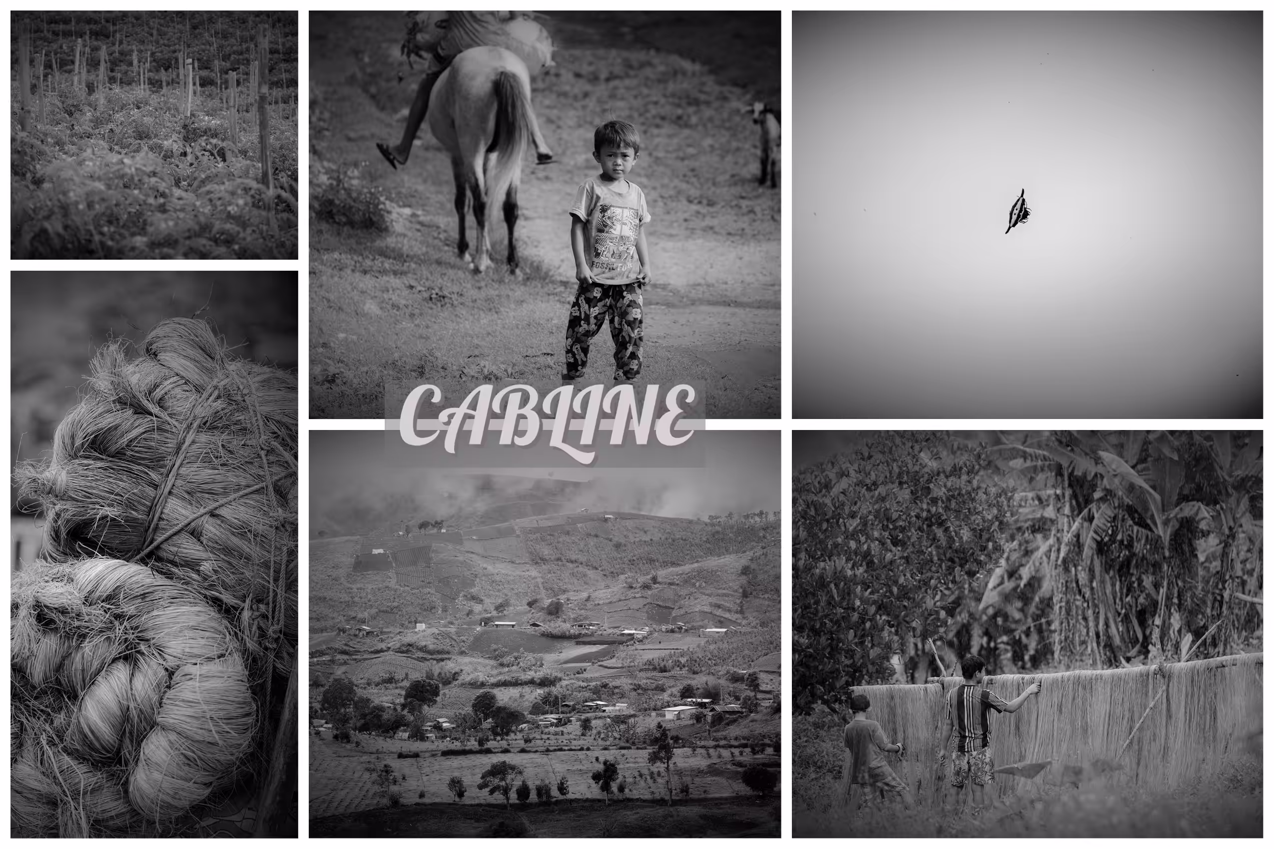 "The Fields of Grey Perceptions" Cabline
