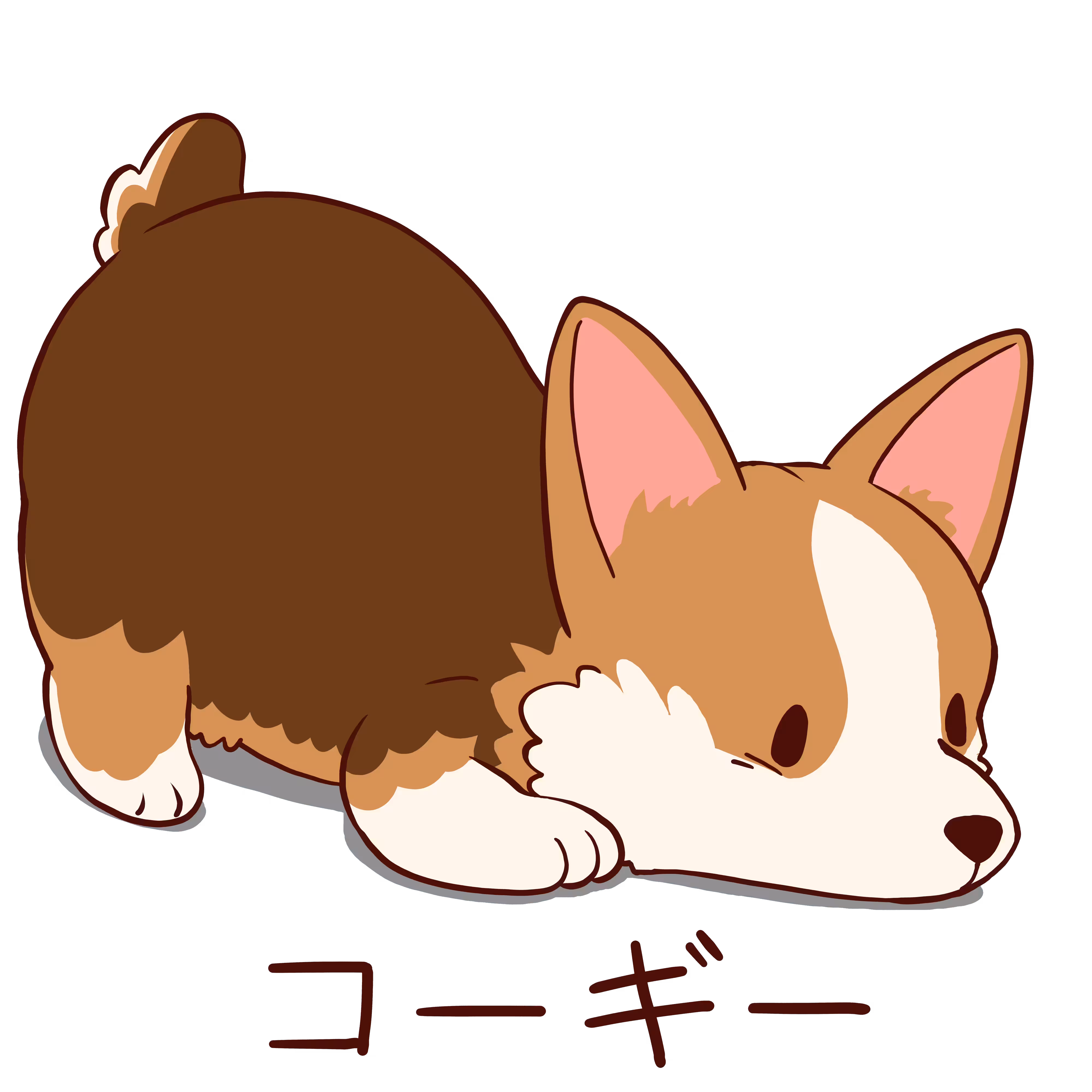 Corgi