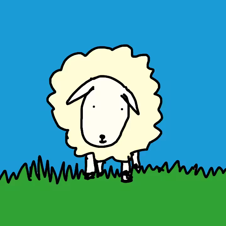 Yorkshire Sheep