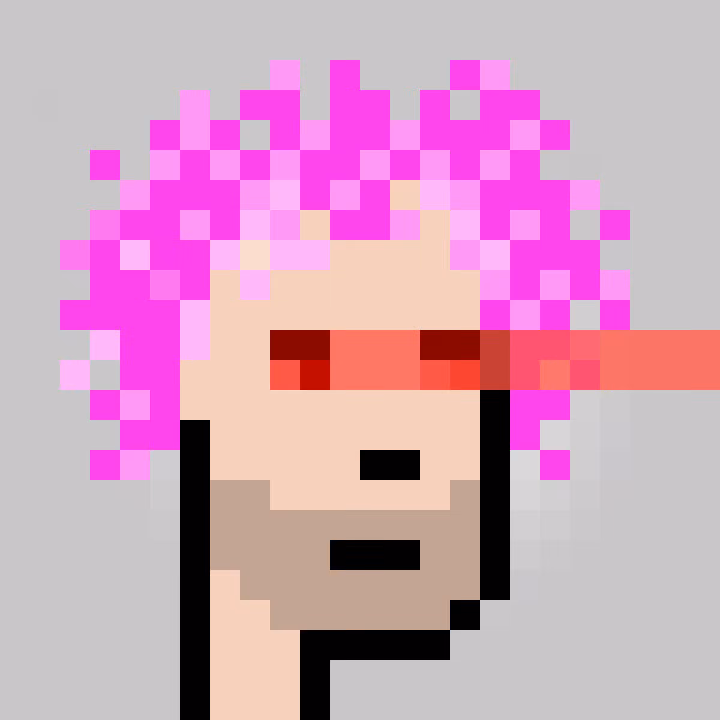 Unofficial Punks V2 #865