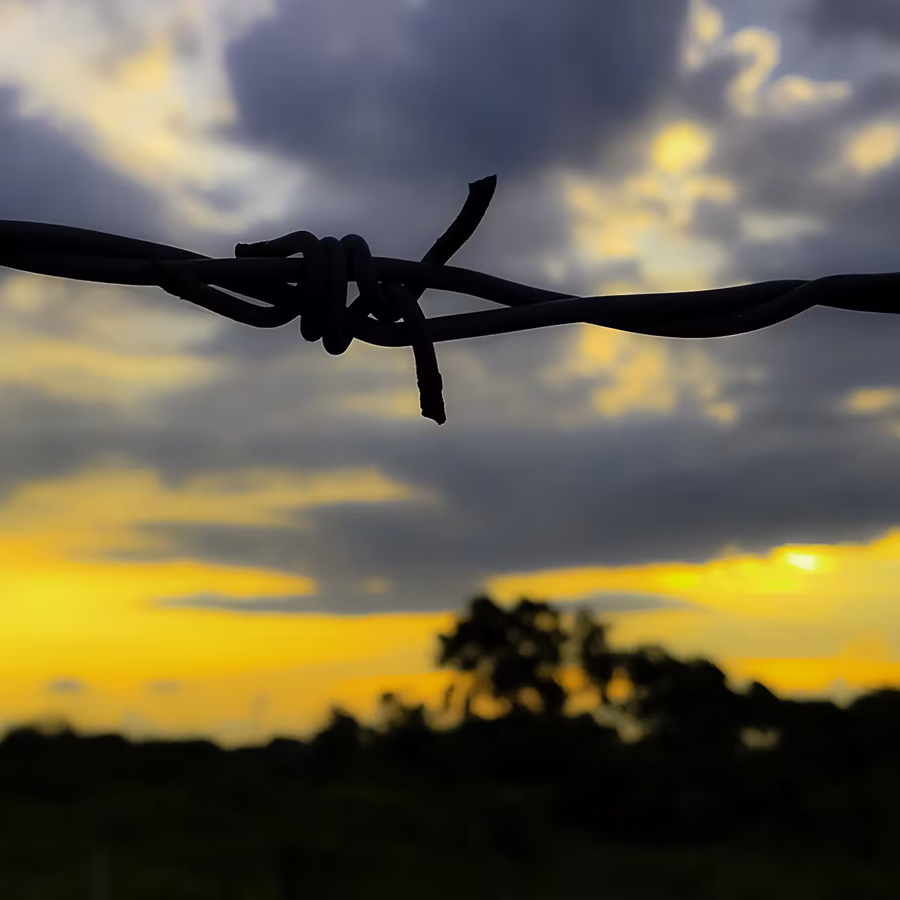 Sunset #26