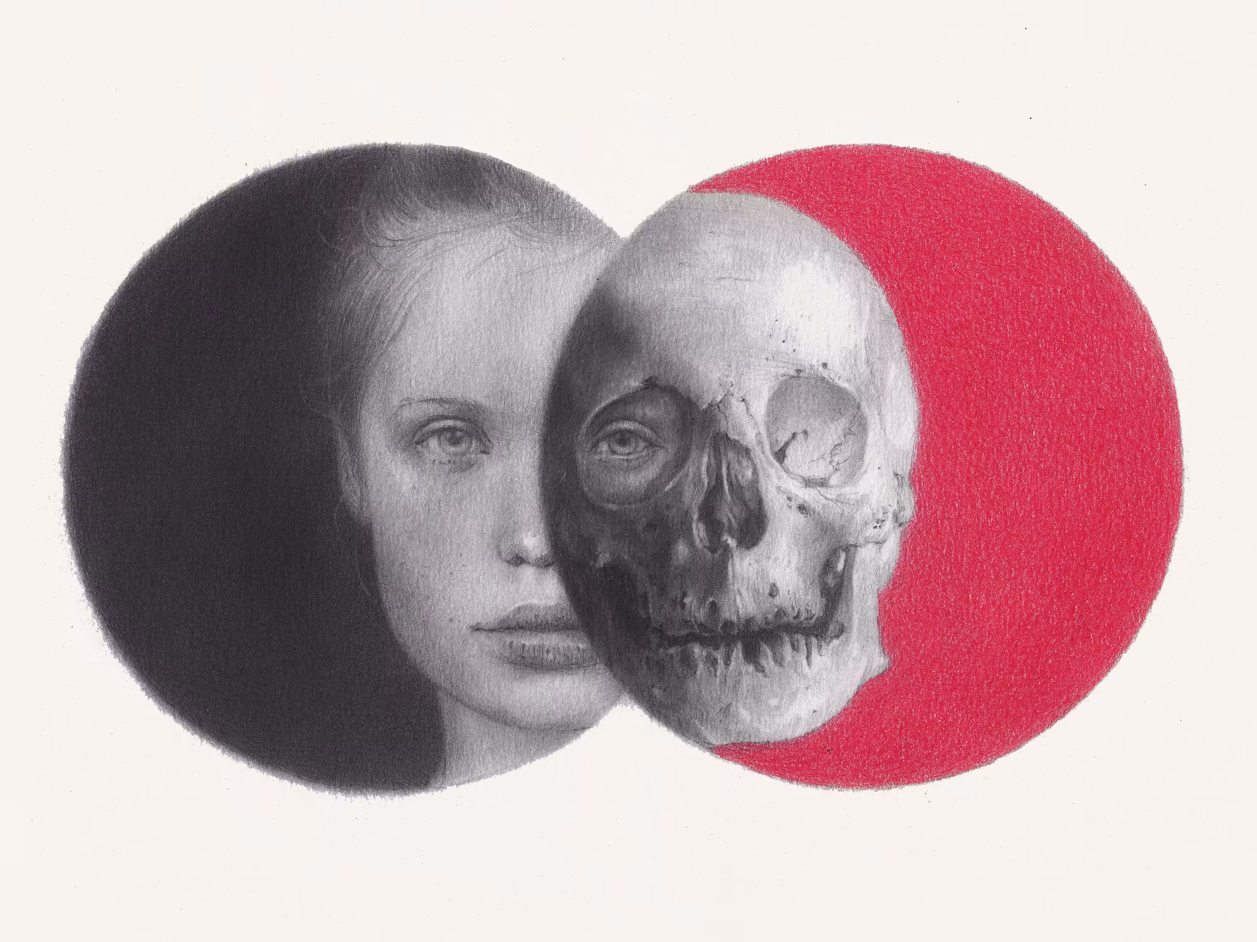 Falsehood
