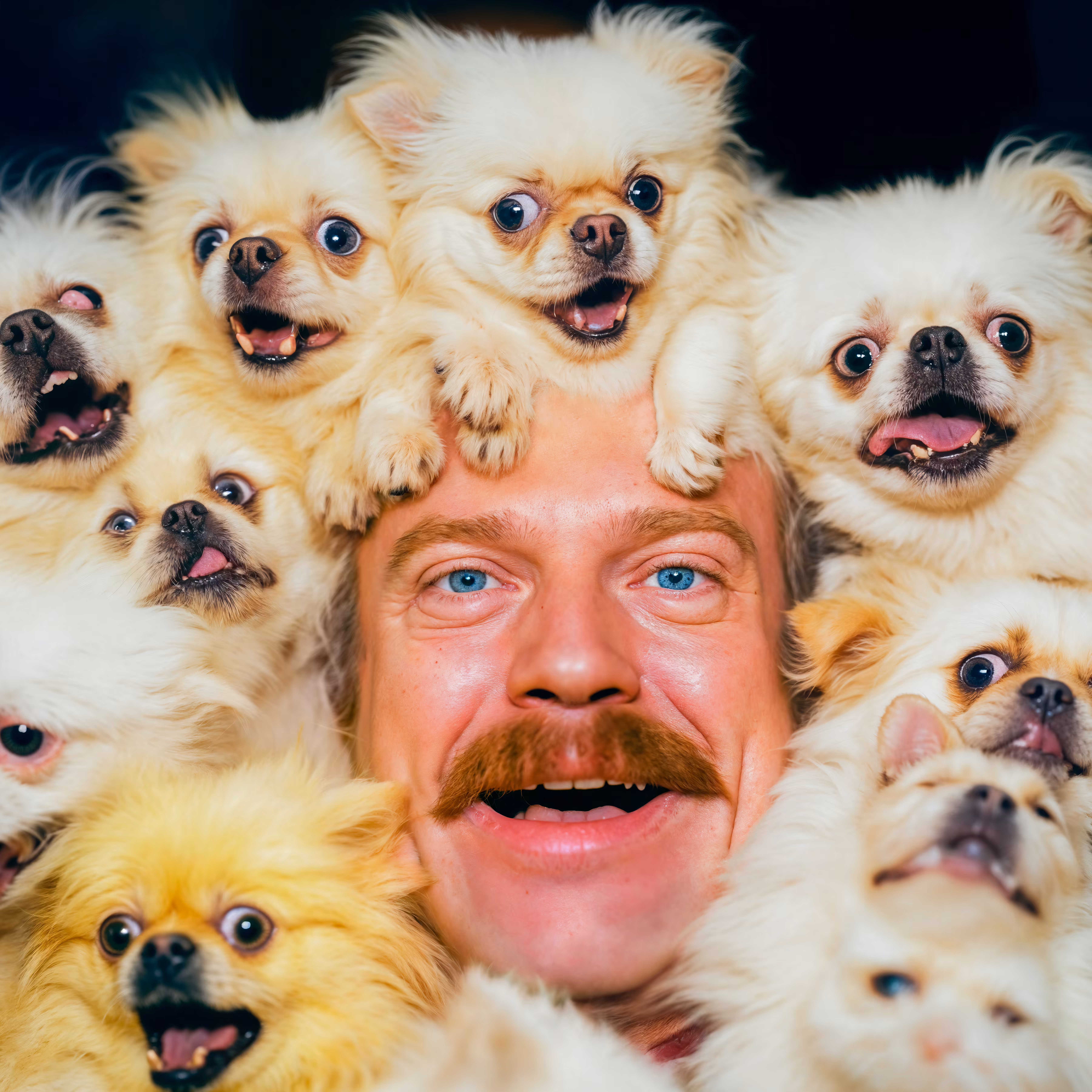PUPPIES #61
