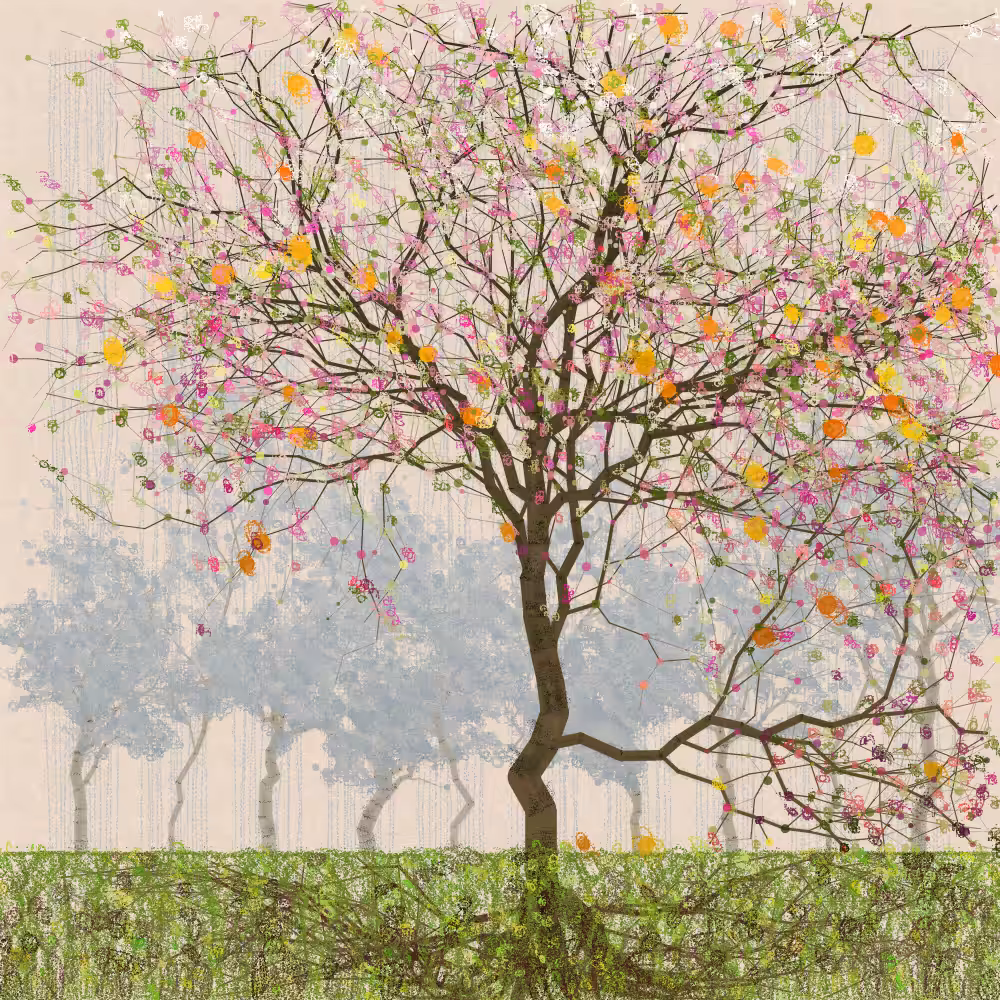 Orchard #233