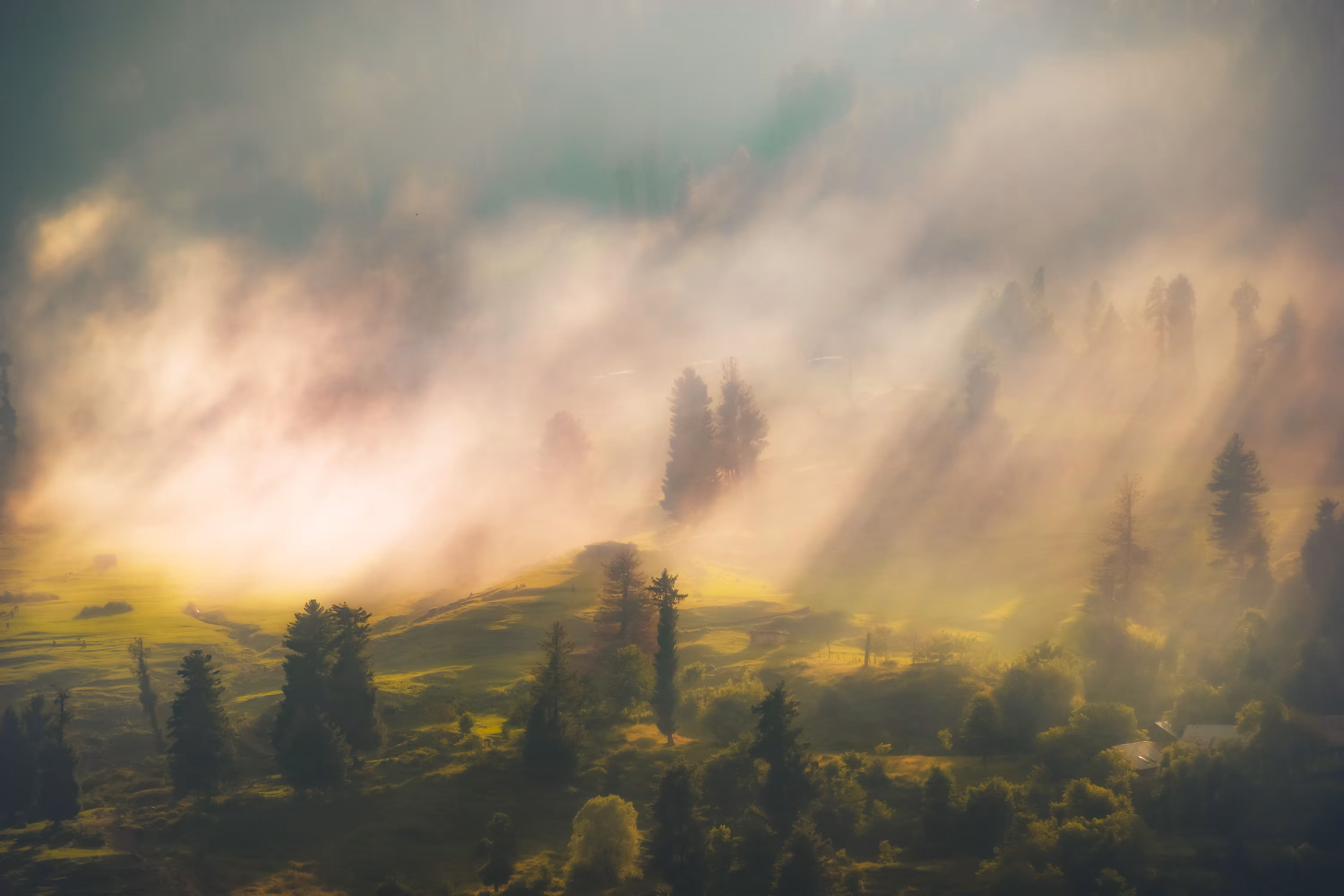 Tranquil whispers