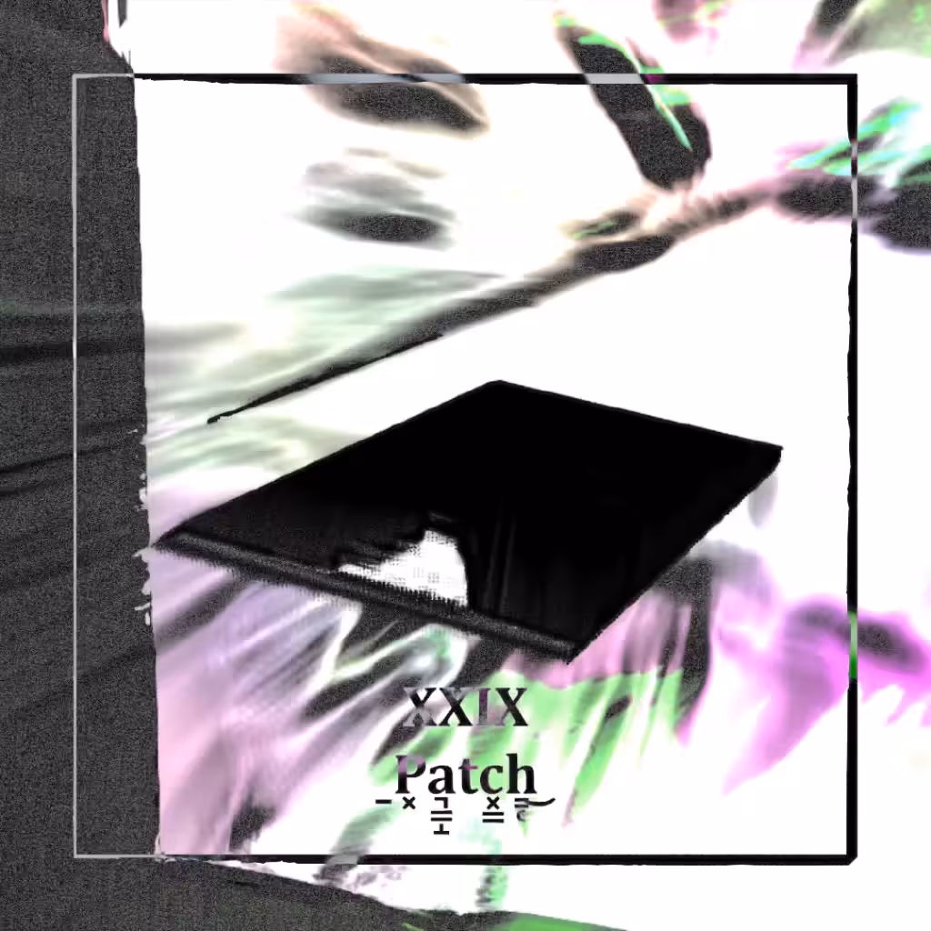 XXIX_Patch