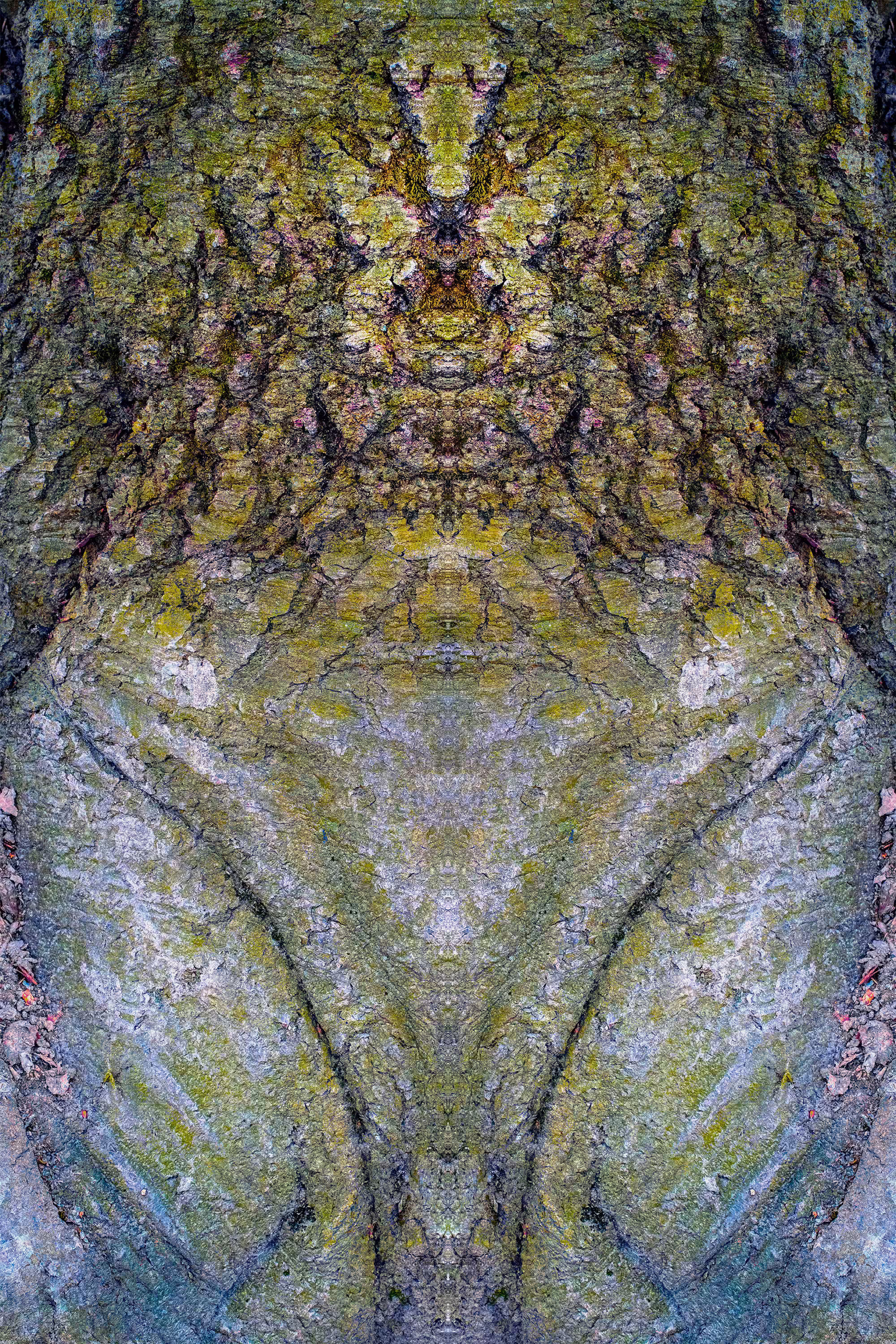 Gaia — A celebration of Mother Earth