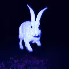 #8 - rabbit/2
