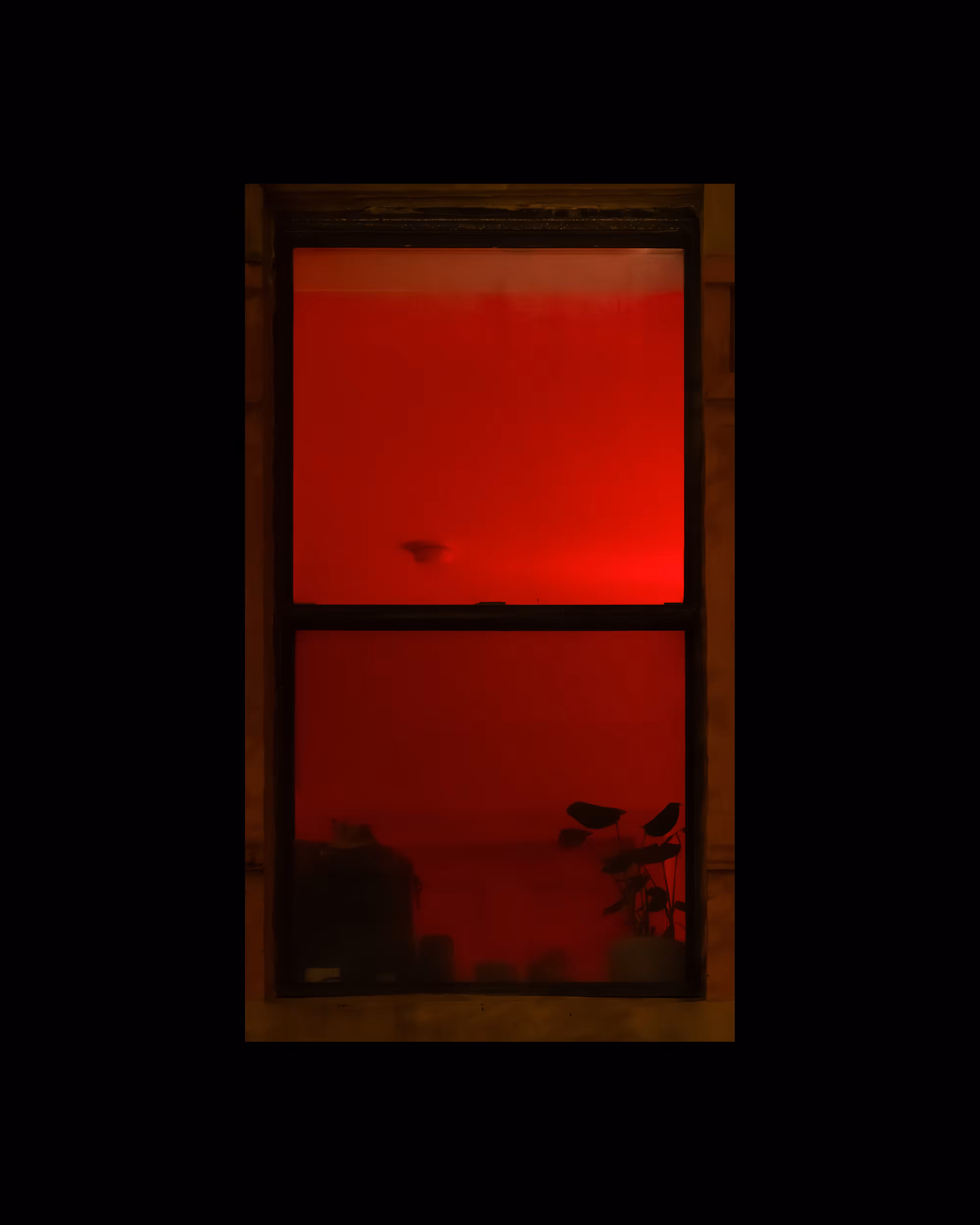 WINDOWS // NYC: WINDOW 708