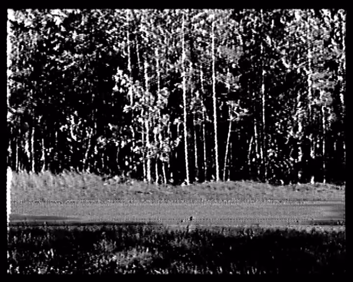 SOUNDS OF EDEN
