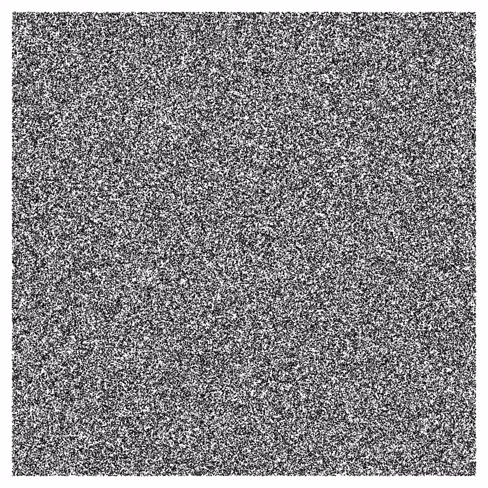 Noise #21
