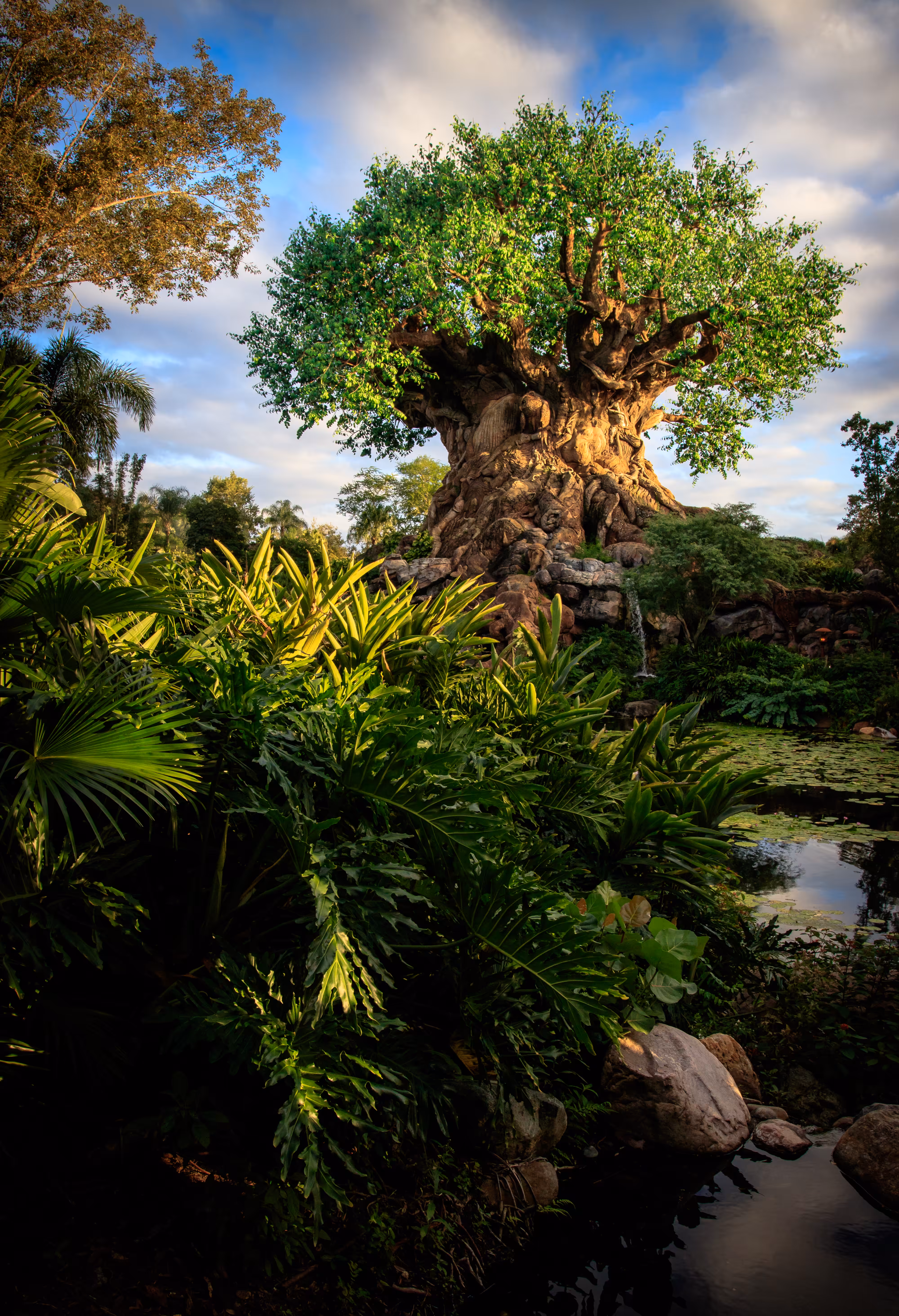 The Tree of Life