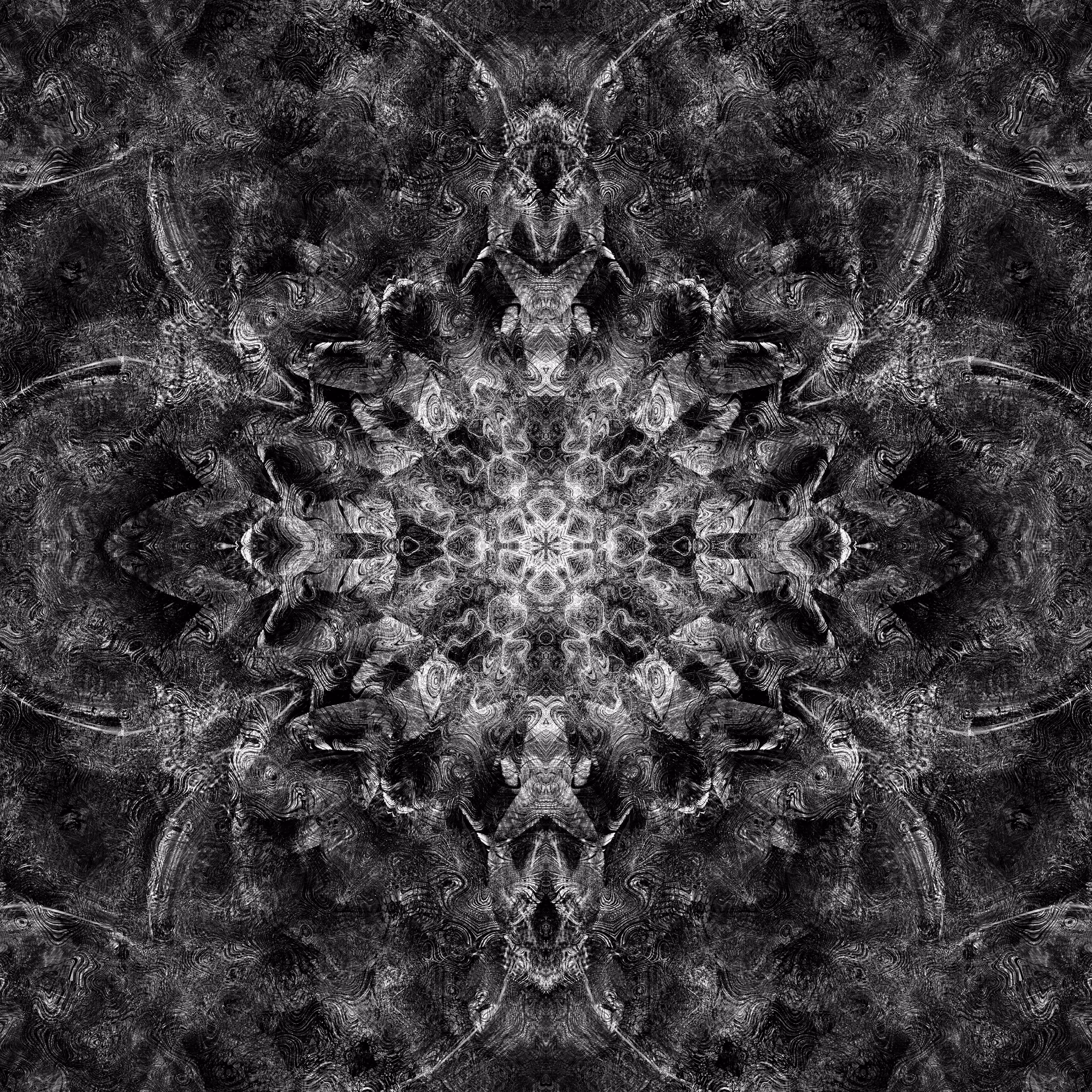 dark camellia D20