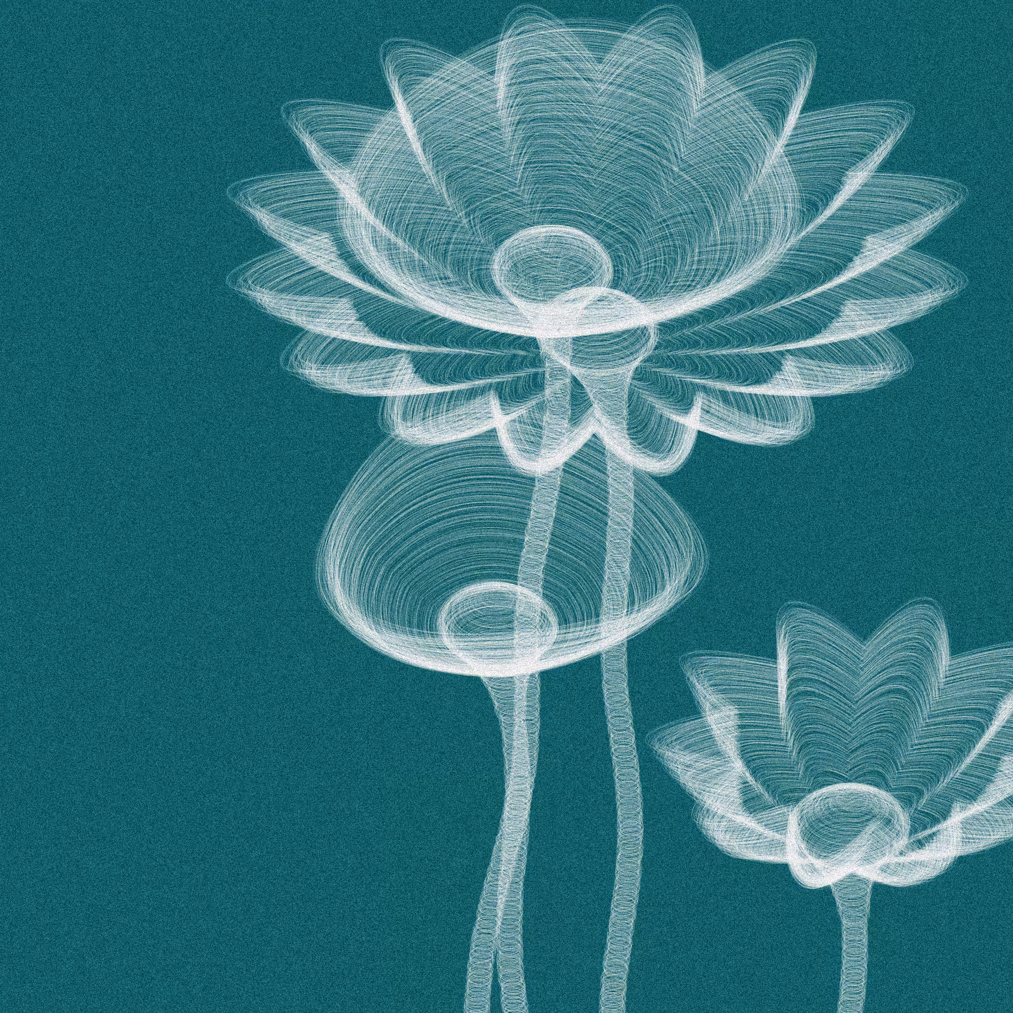 Code Flowers #46
