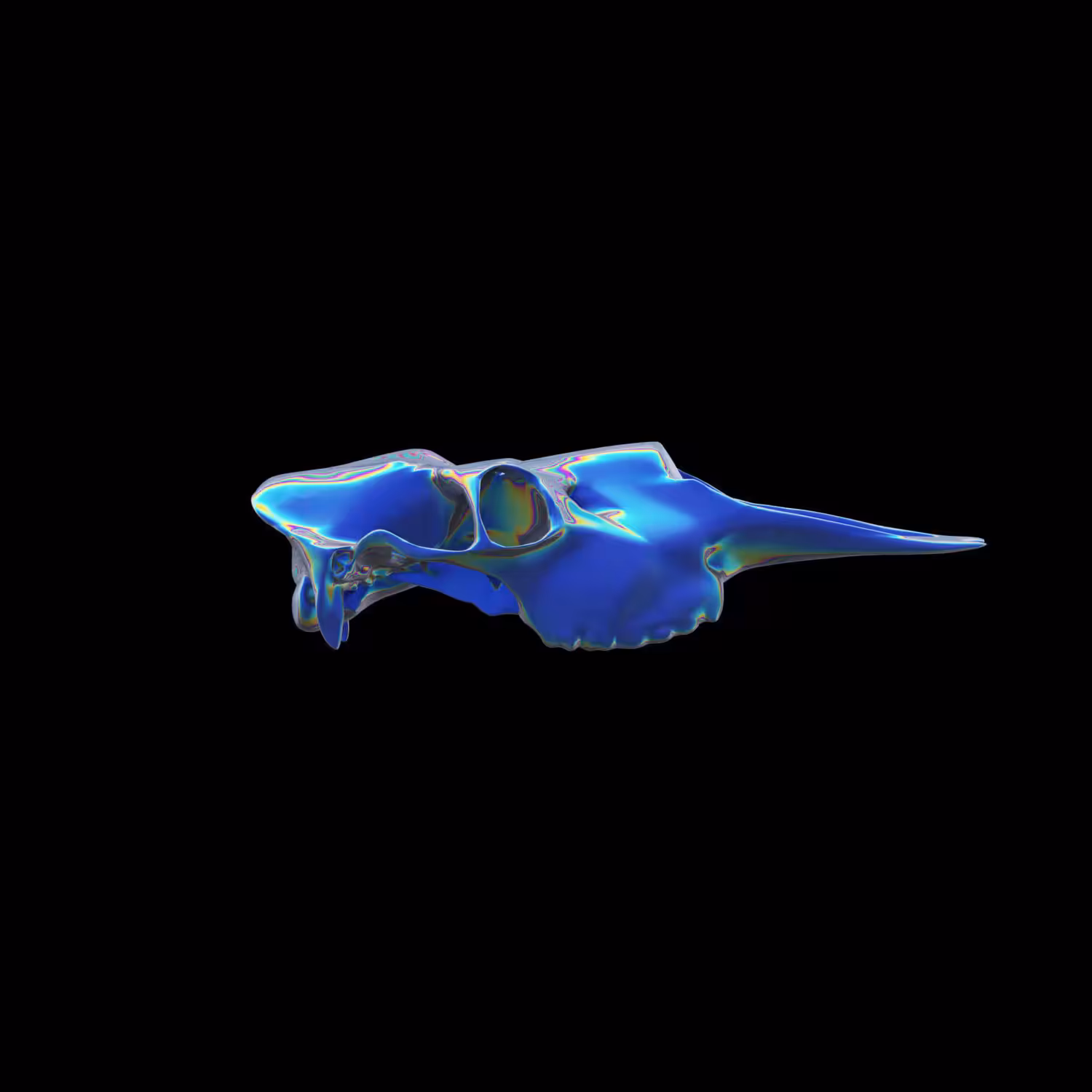 Iridescent Skulls