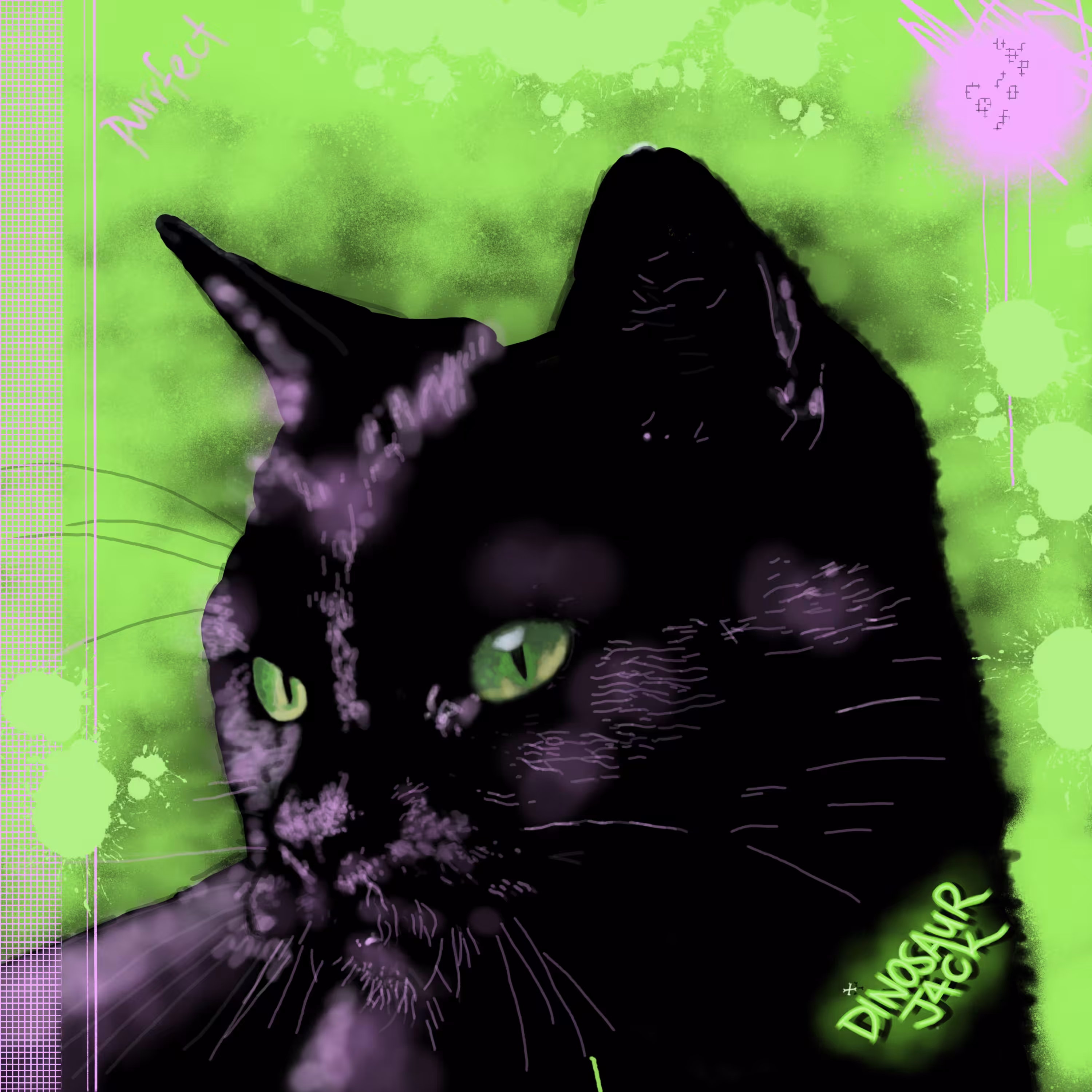 Cool Cat