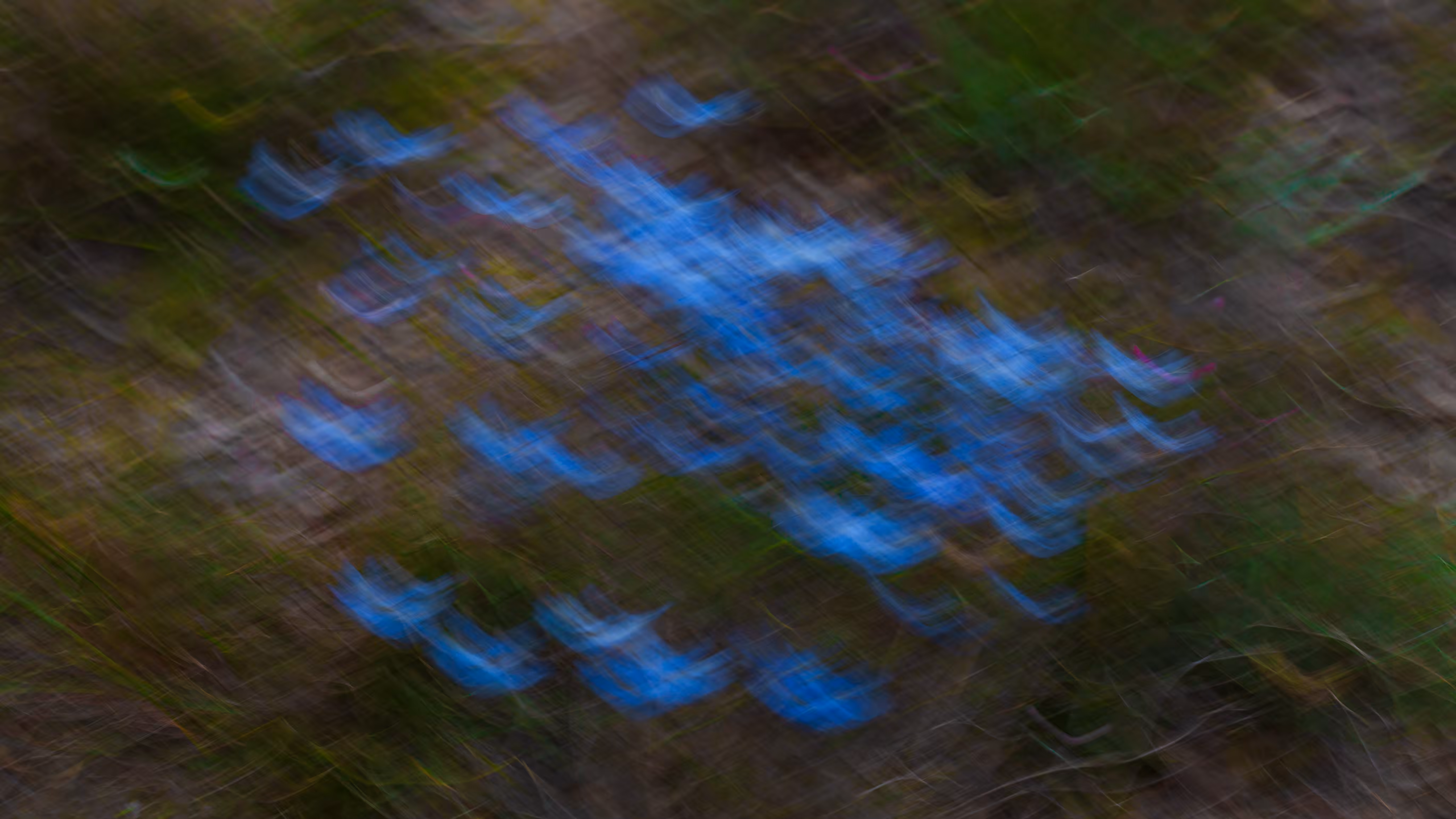Flight of the Blues