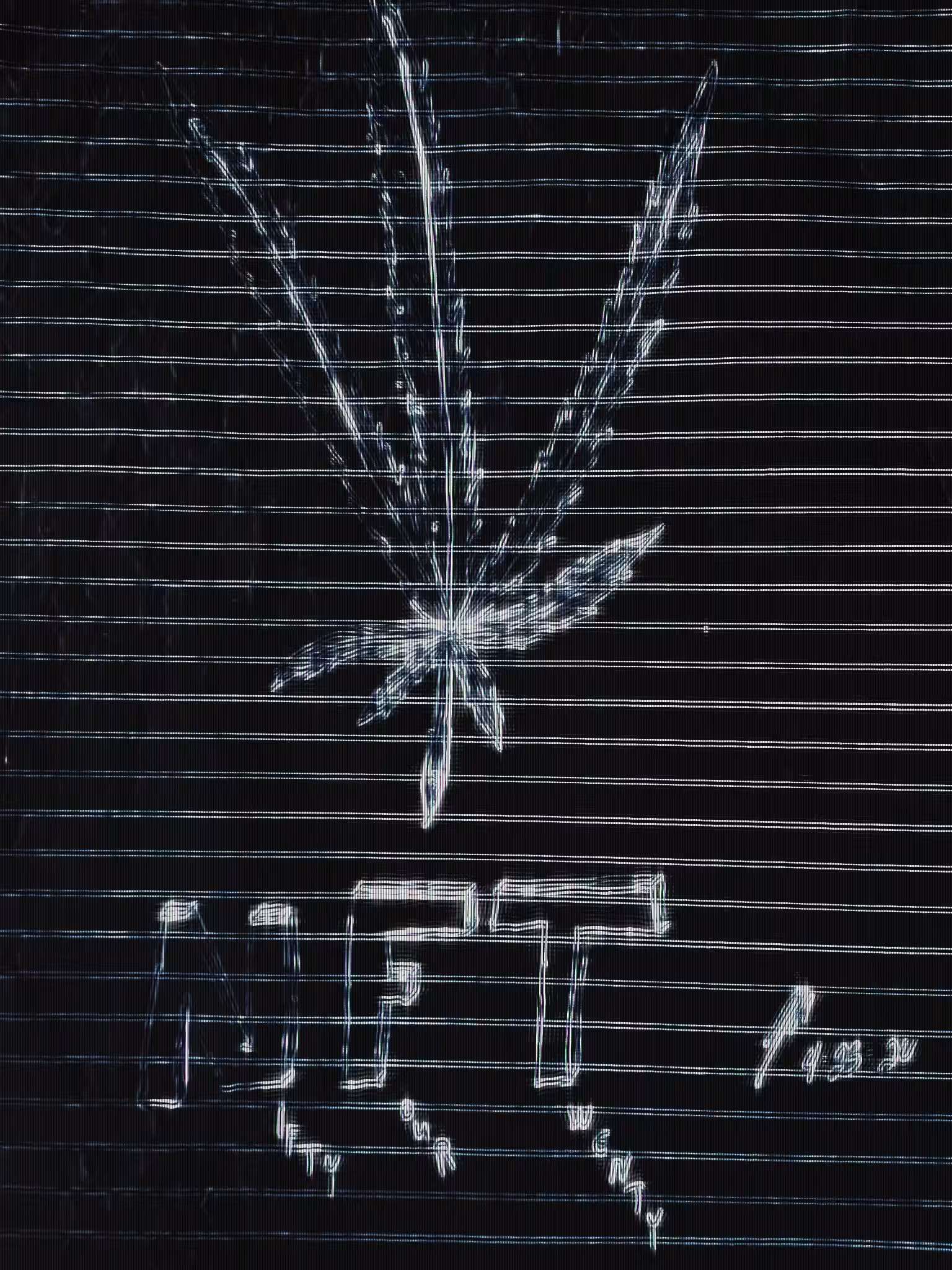 N.ifty F.our T.wenty