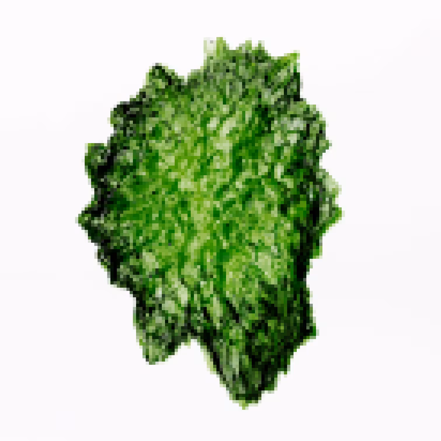 Moldavite