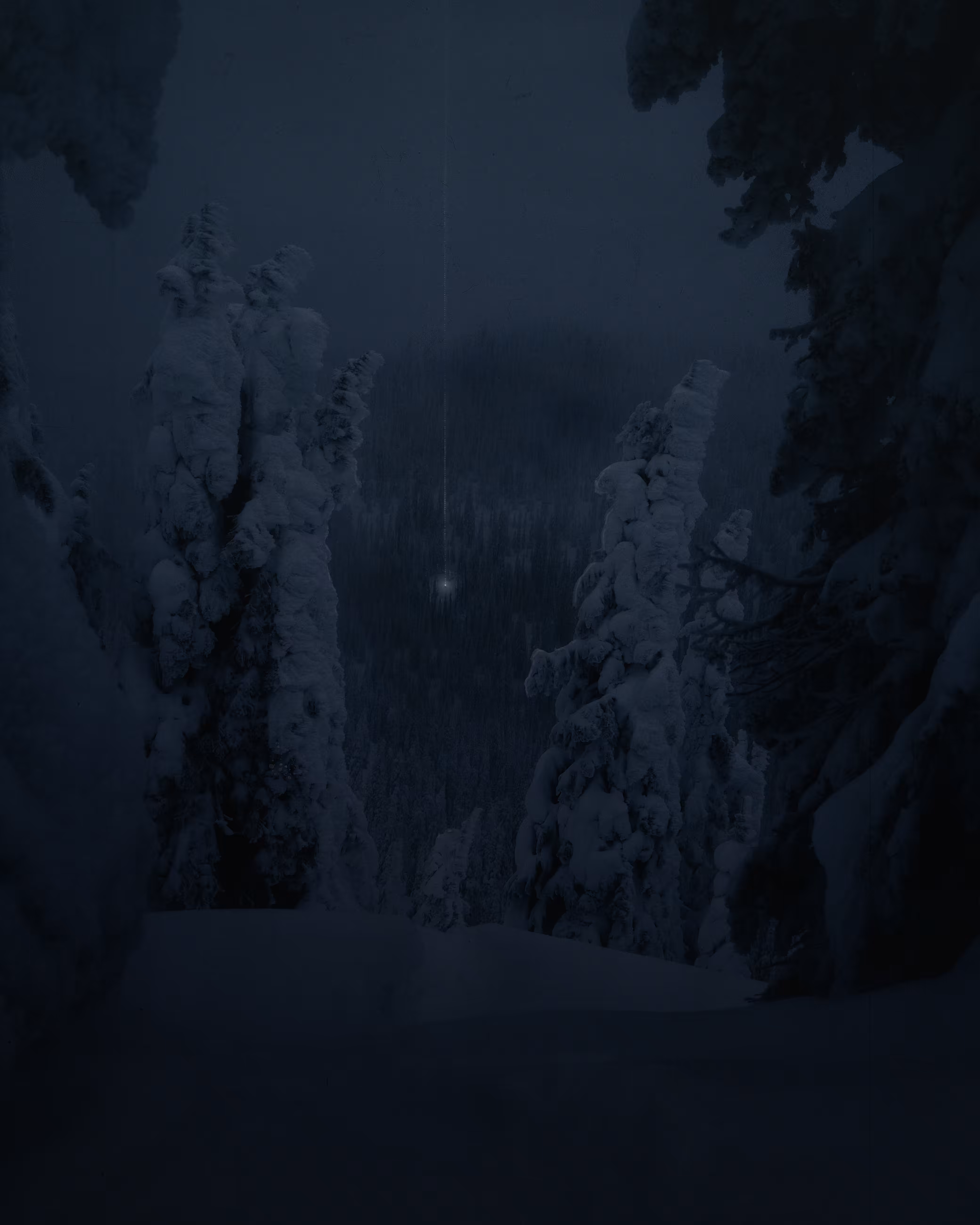 light in the dark