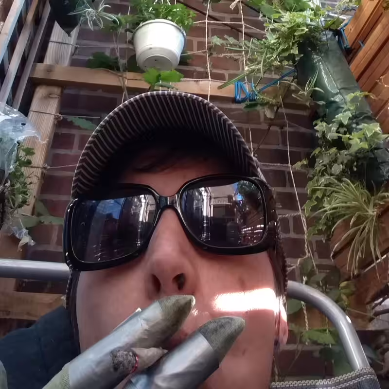 .22 HAPPY 4/20 FROM DELFT. animated mp4 #001 LLvD minted on BACC splitty