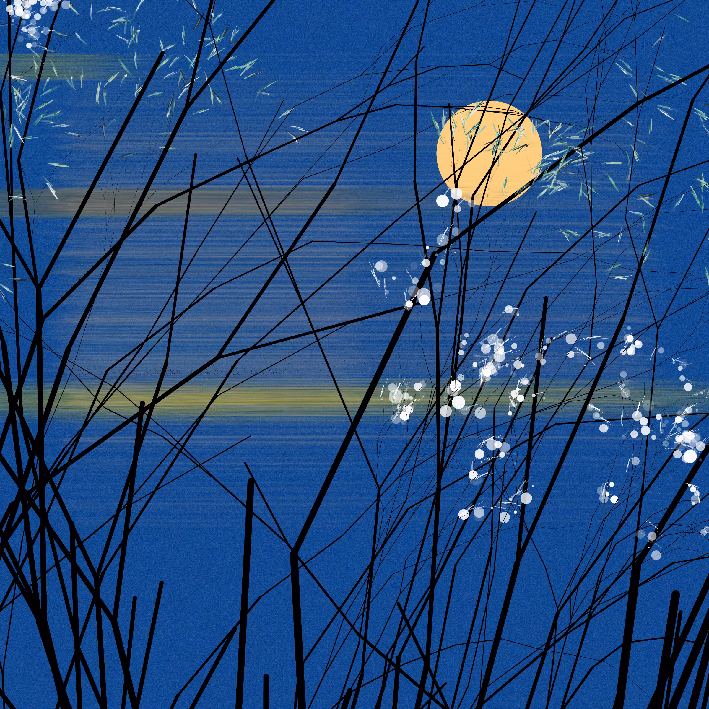 conversation with the wind #995