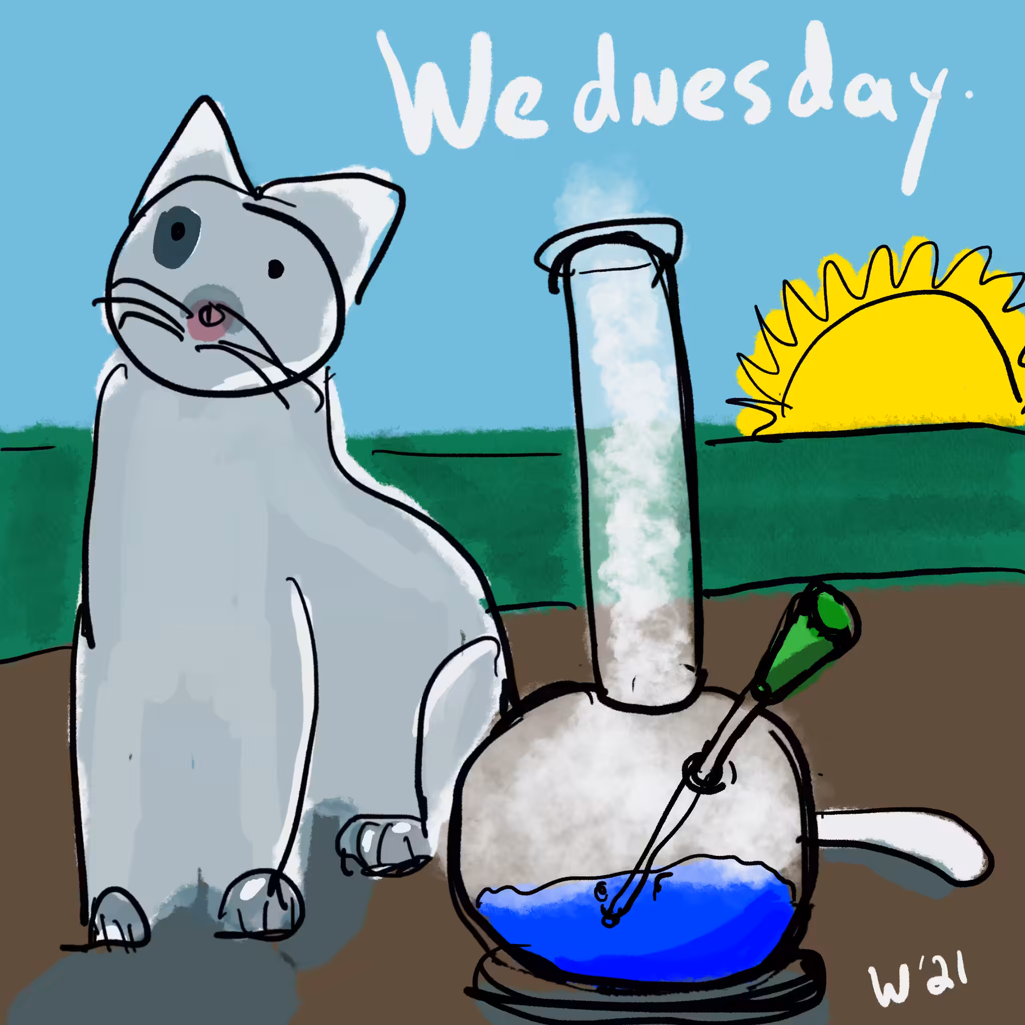 Smokey cat