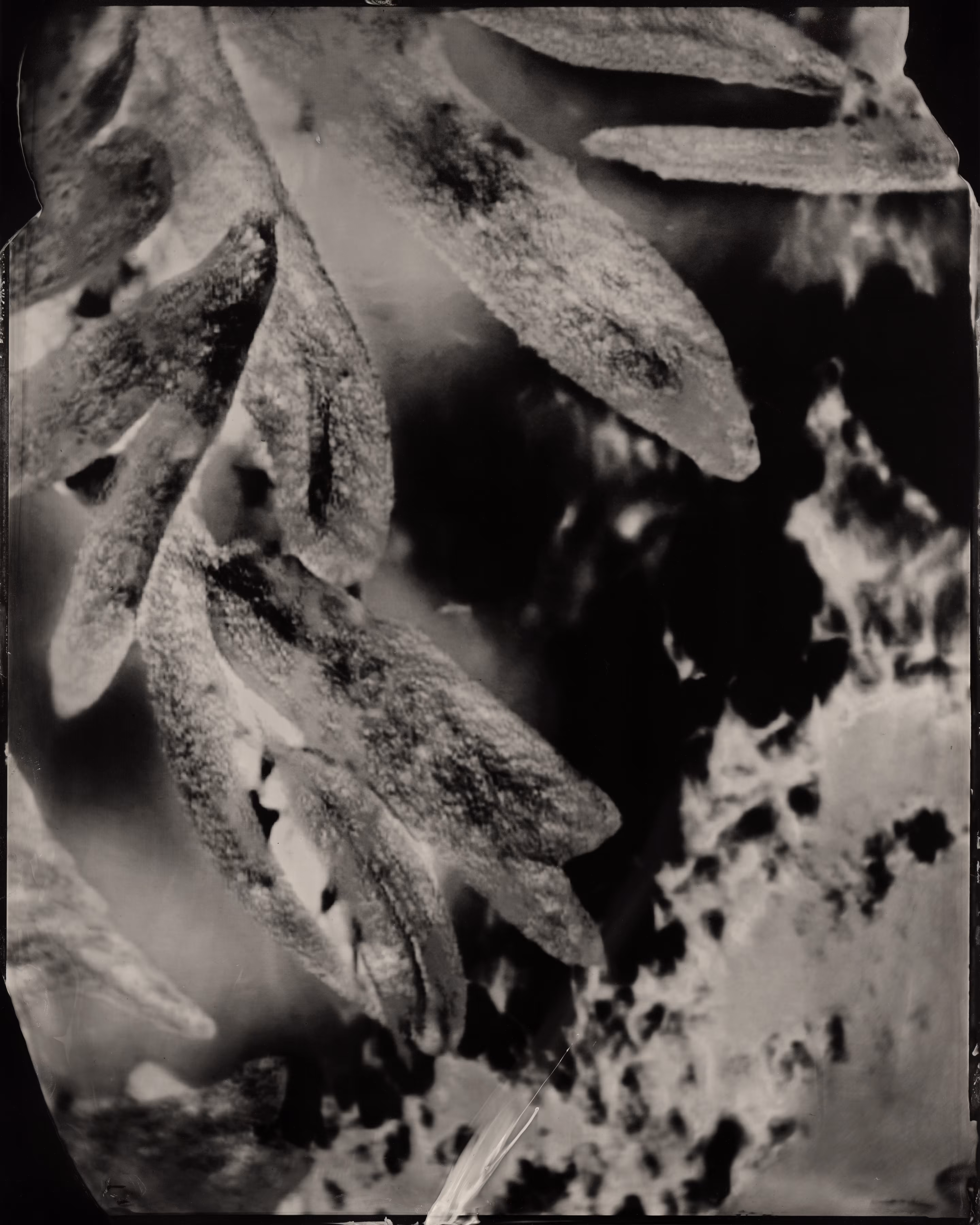 Technical Images: Technical Image #6