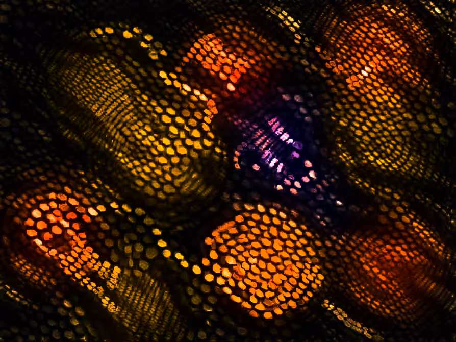 Microcosmos number four