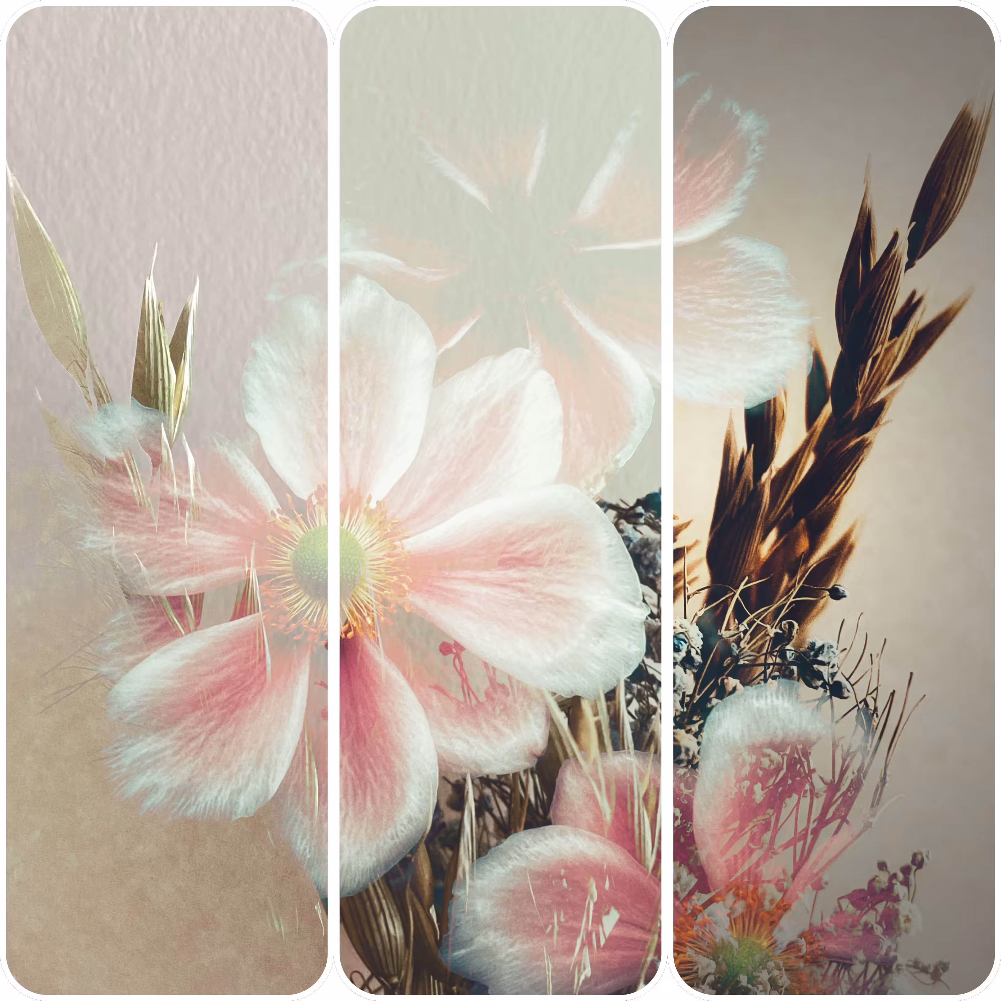 Floral Noise: Field of Life