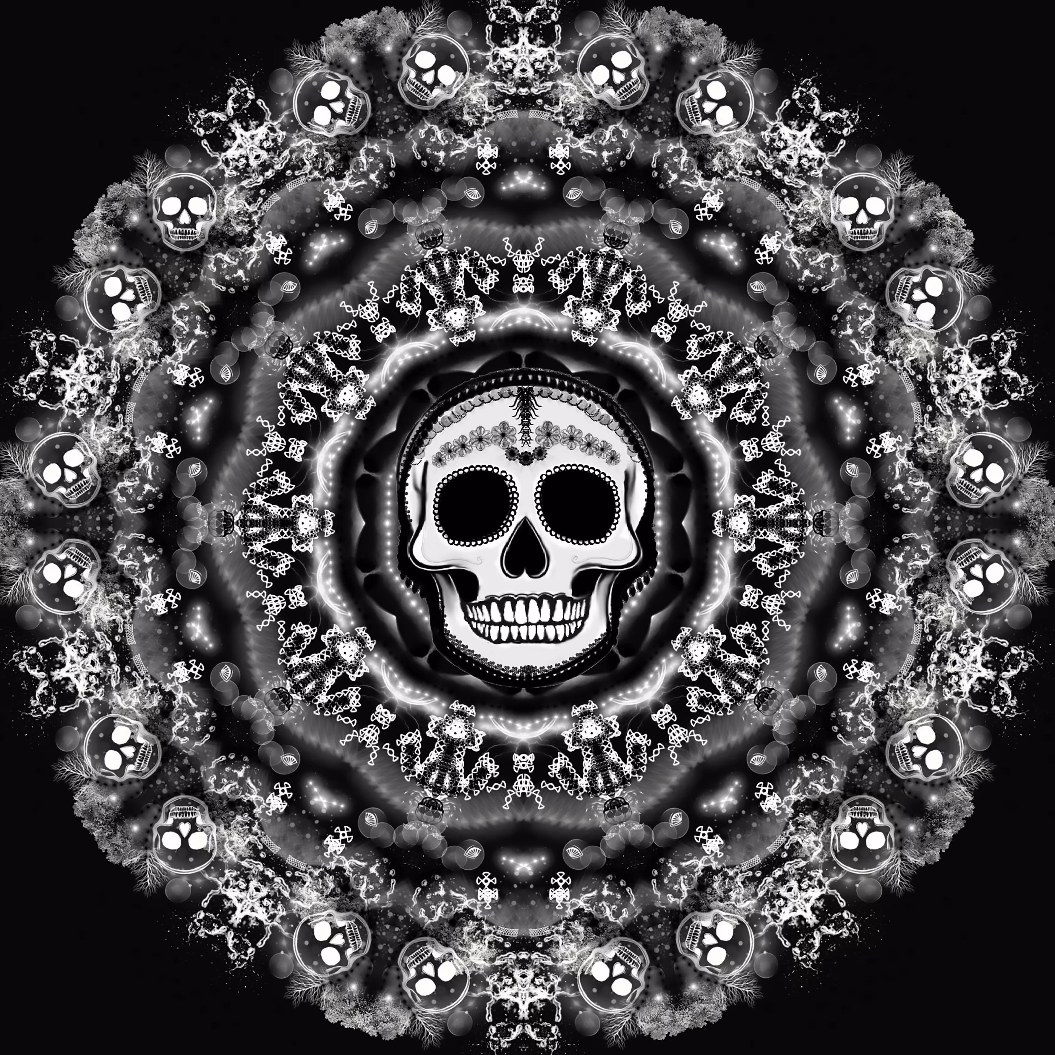 "Skull's Monochrome Enigma"