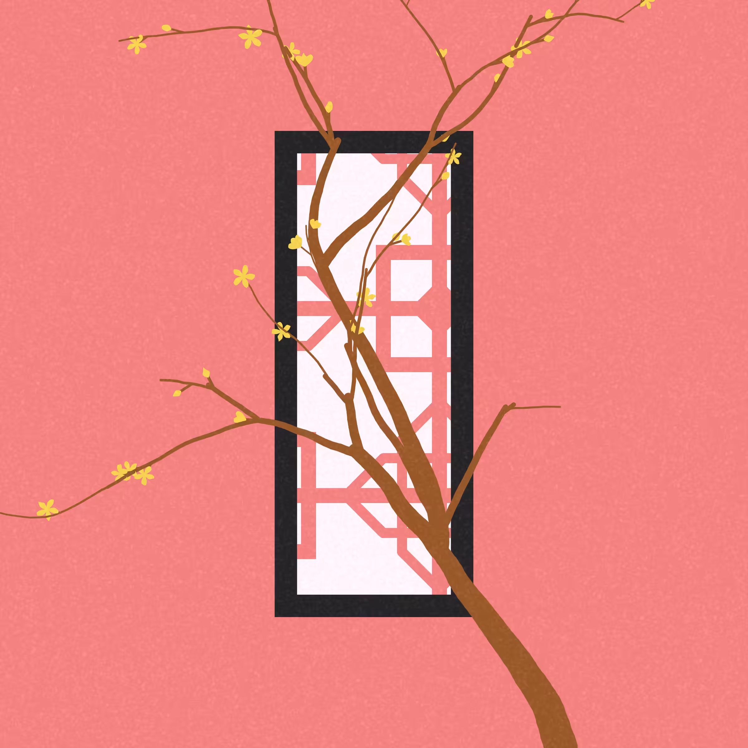Through the Window #275