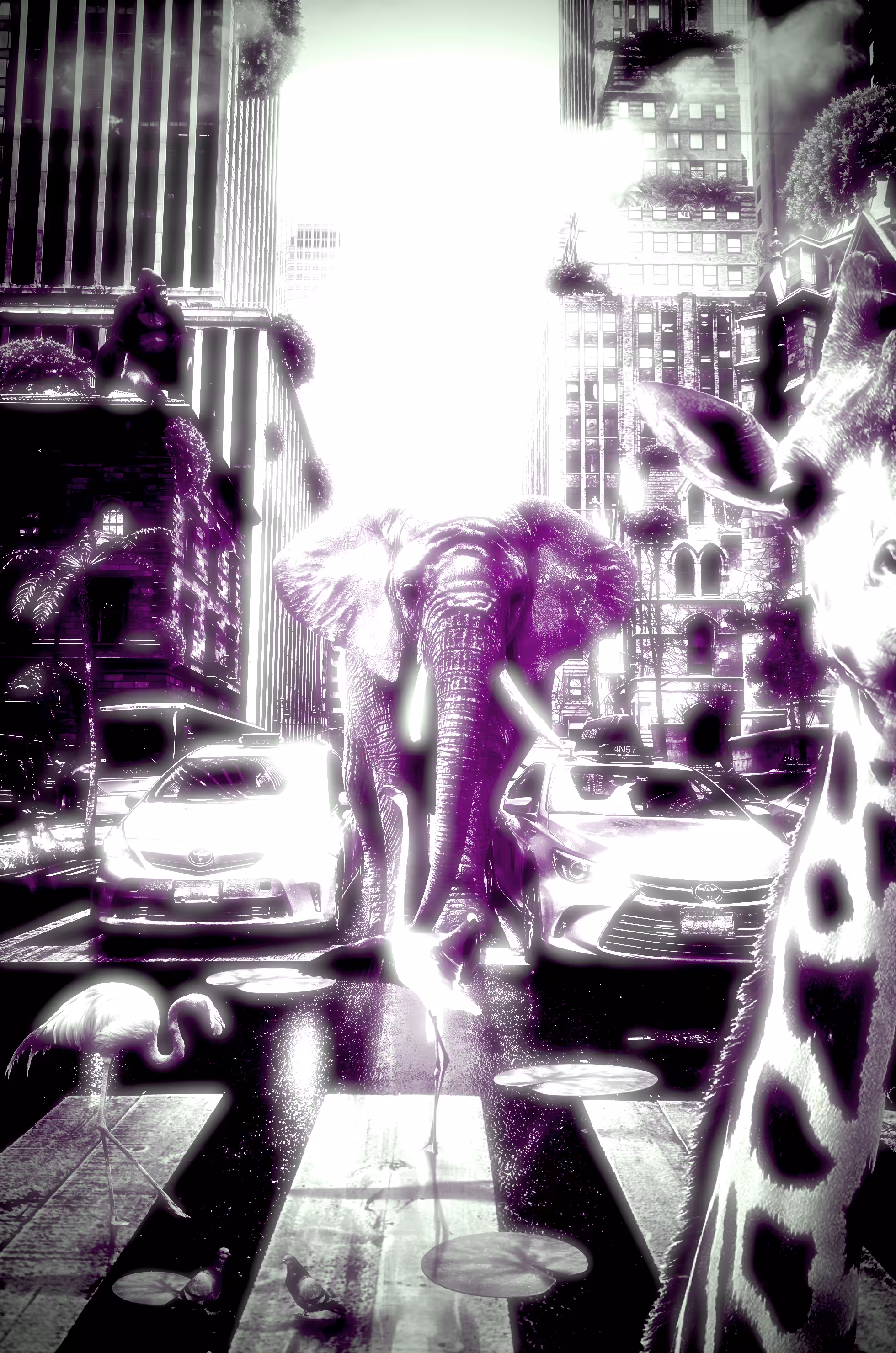 where is my city