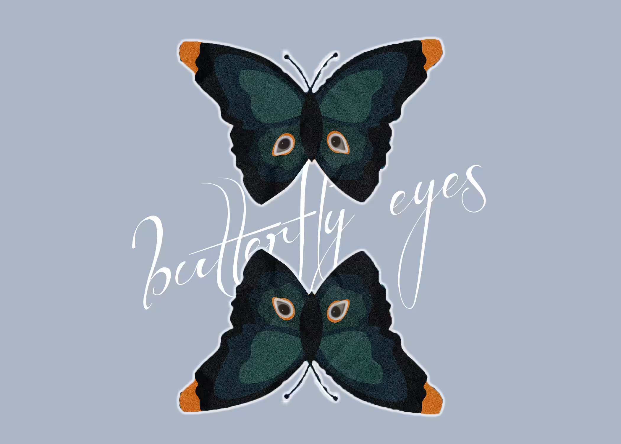 🦋 Butterfly eyes 🦋