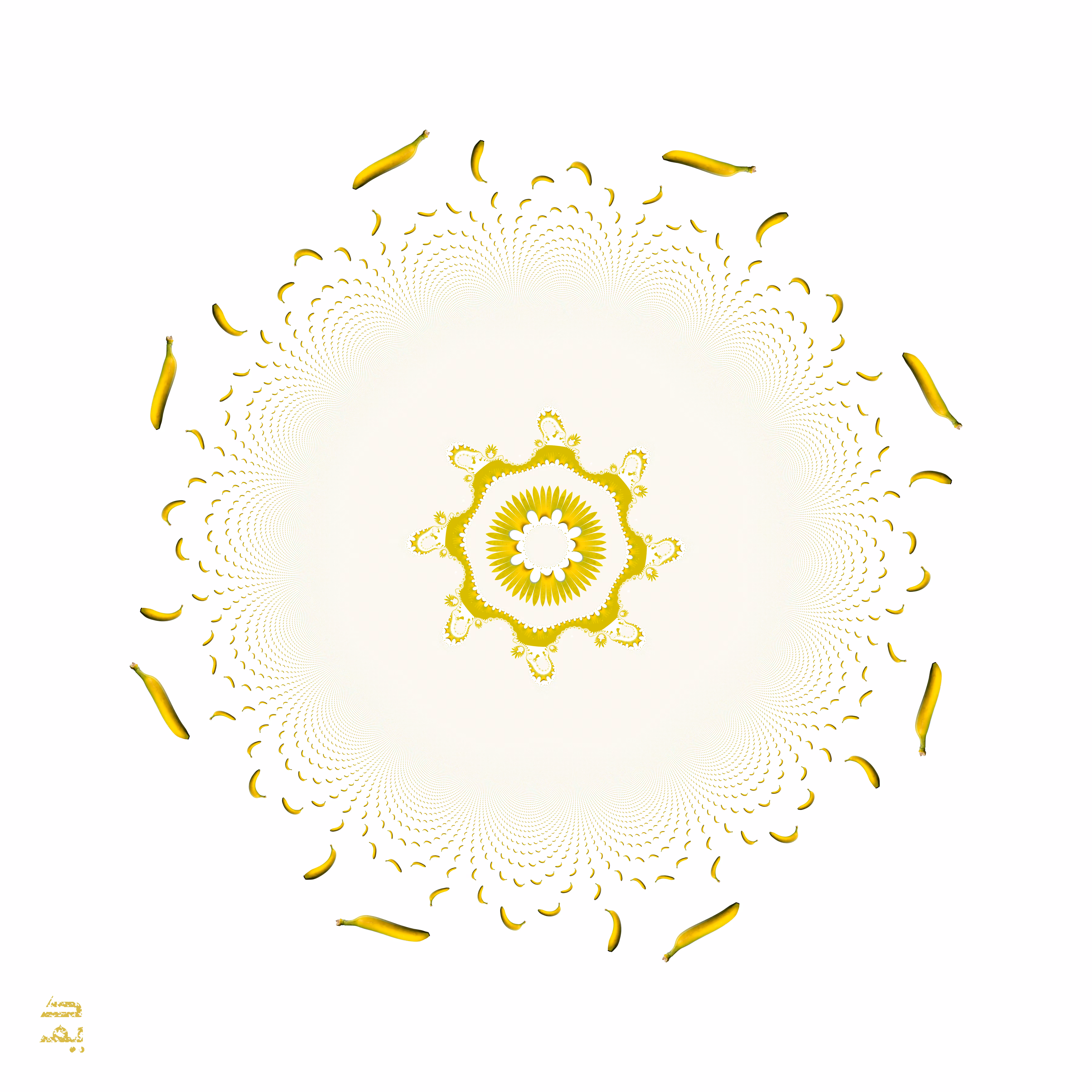 The Trillion Dollar Mandala (2019)