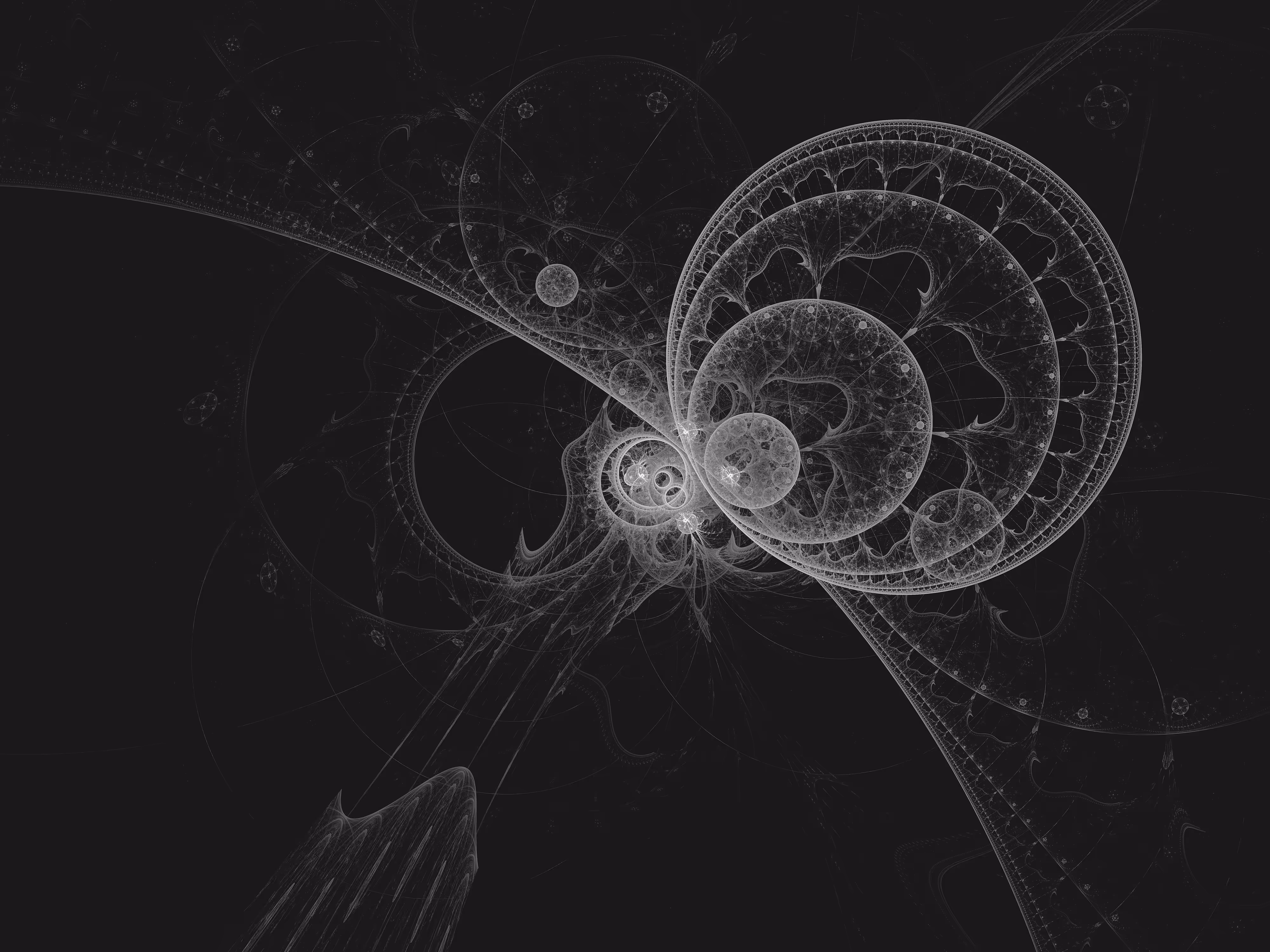 Action Potential
