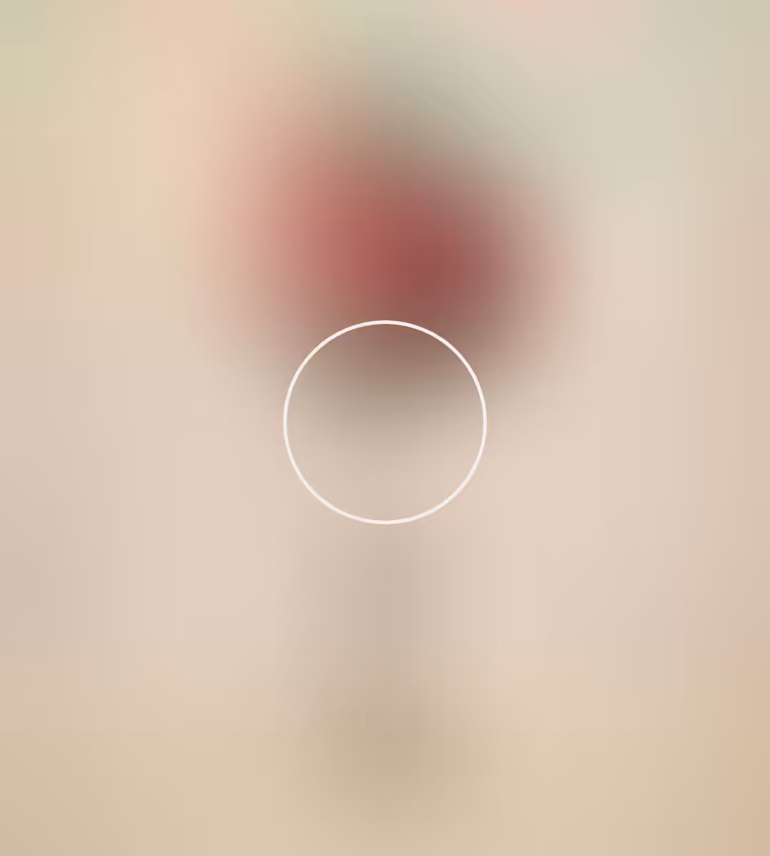 could'n refresh feed - XI