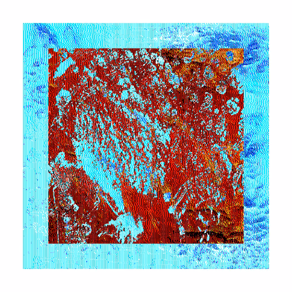 CHX-1 #30
