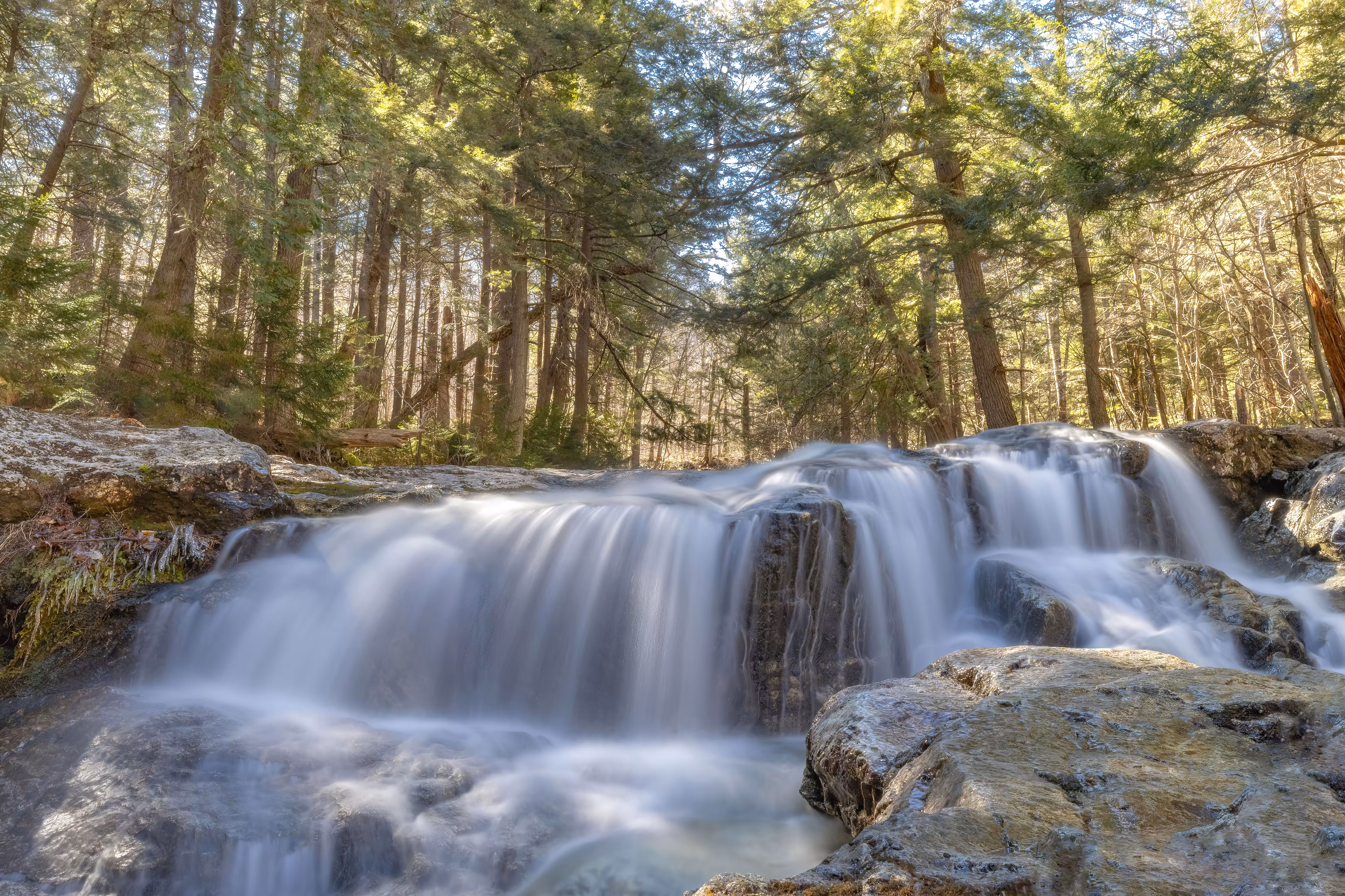 Spring Thaw #2/15