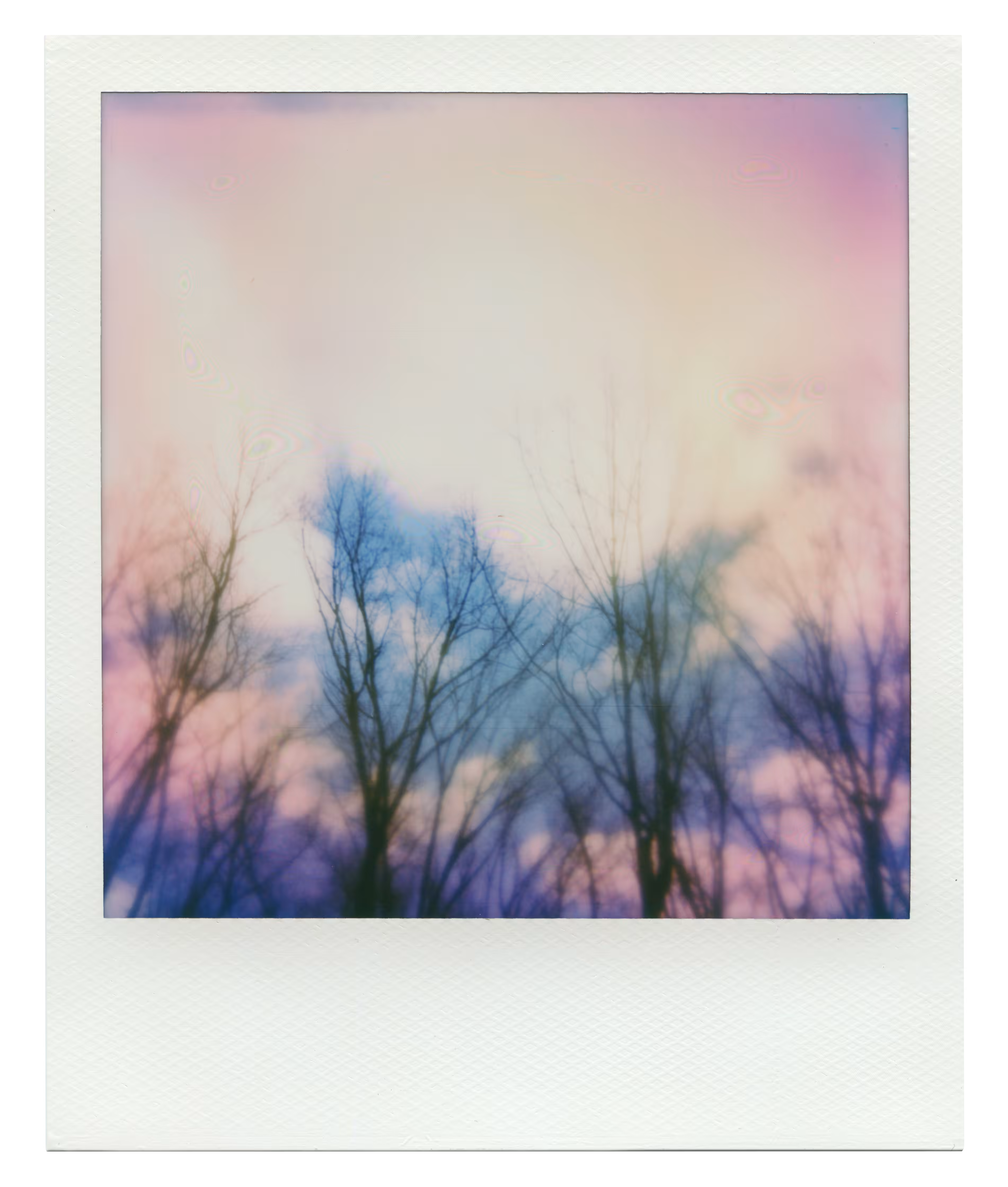 Manifestation