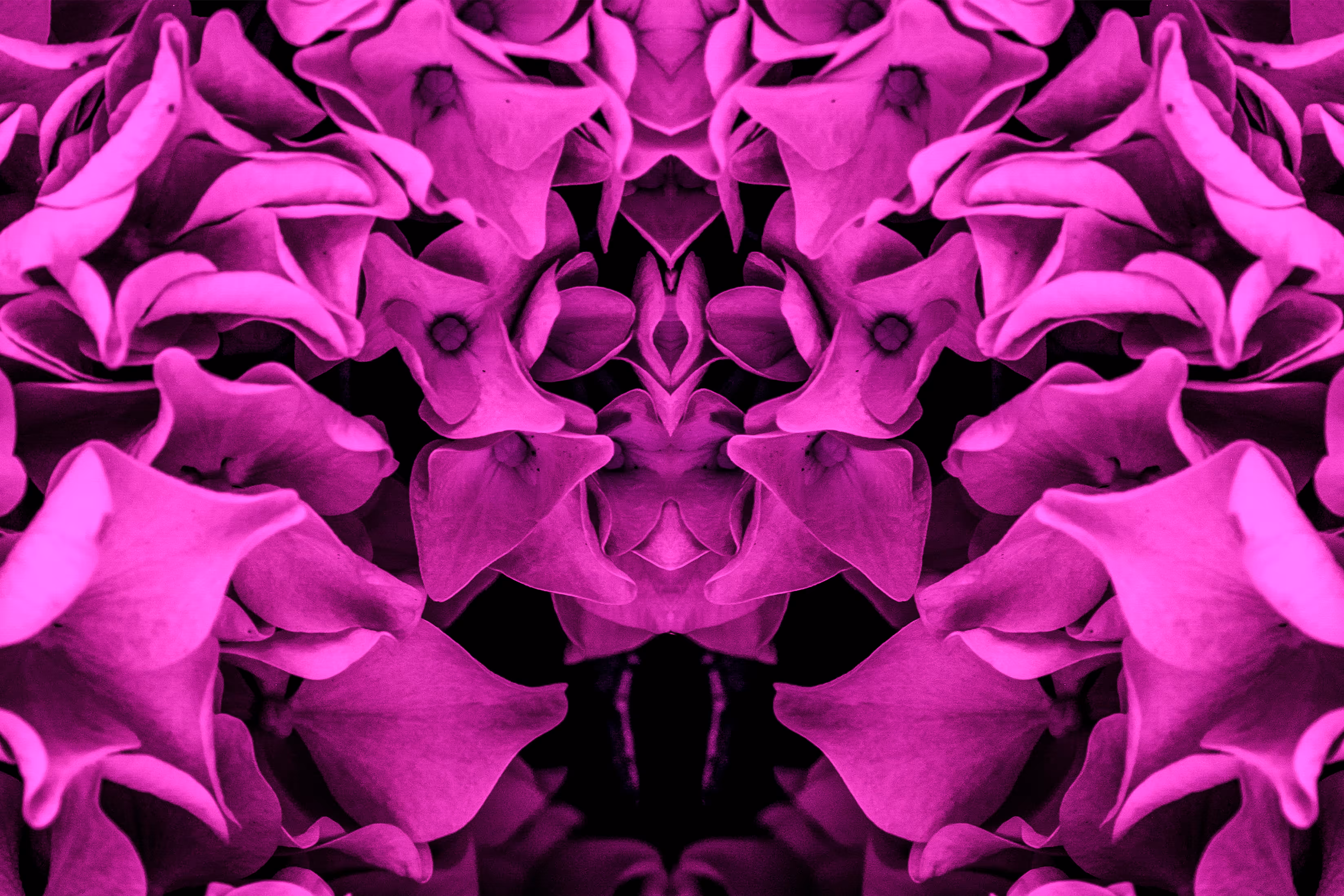 Rorschach #255