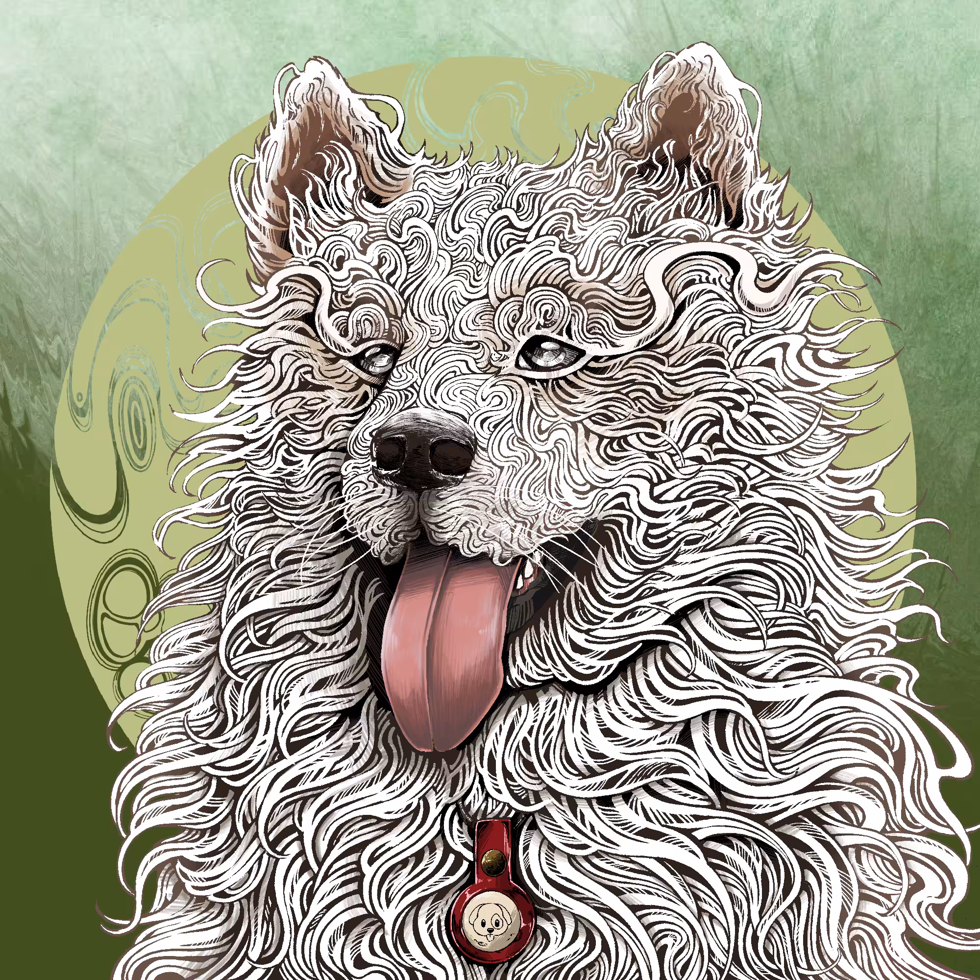 Samoyed HARRY