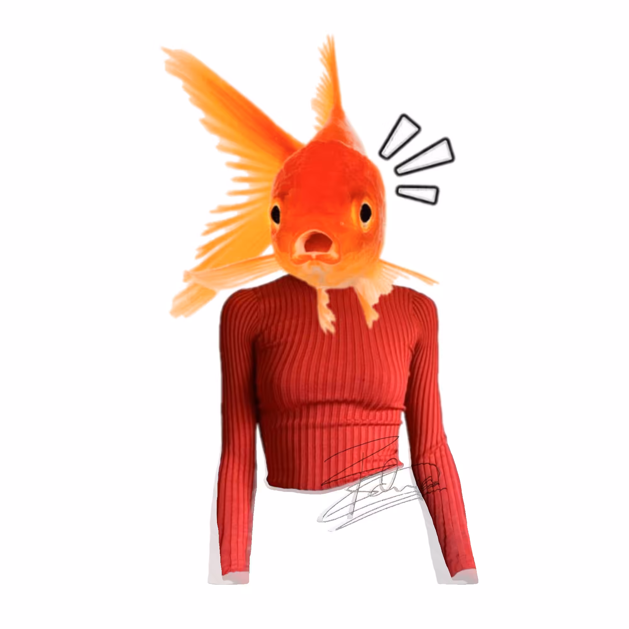 What the Fish!!!