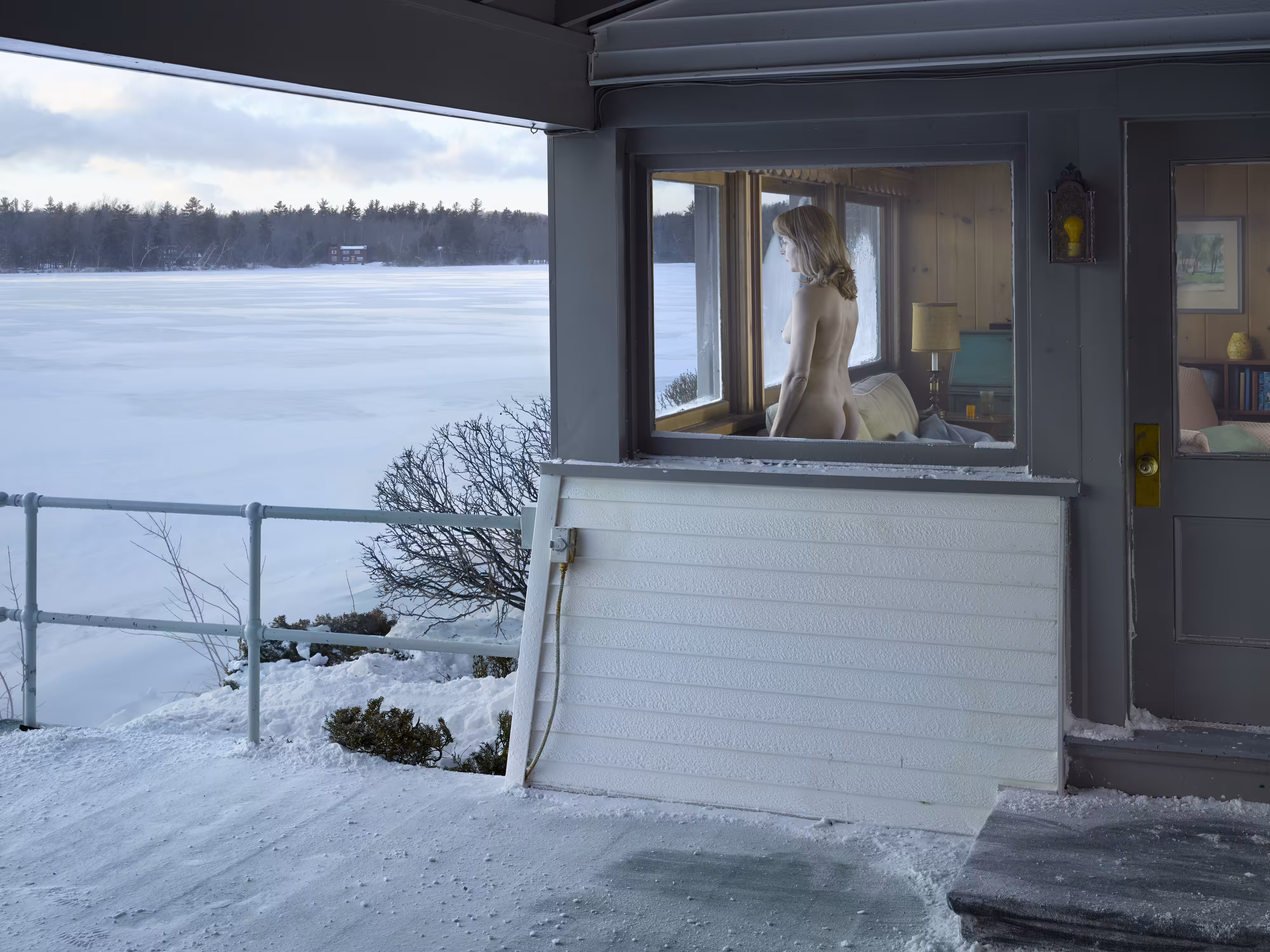 Woman at Window, 2014
