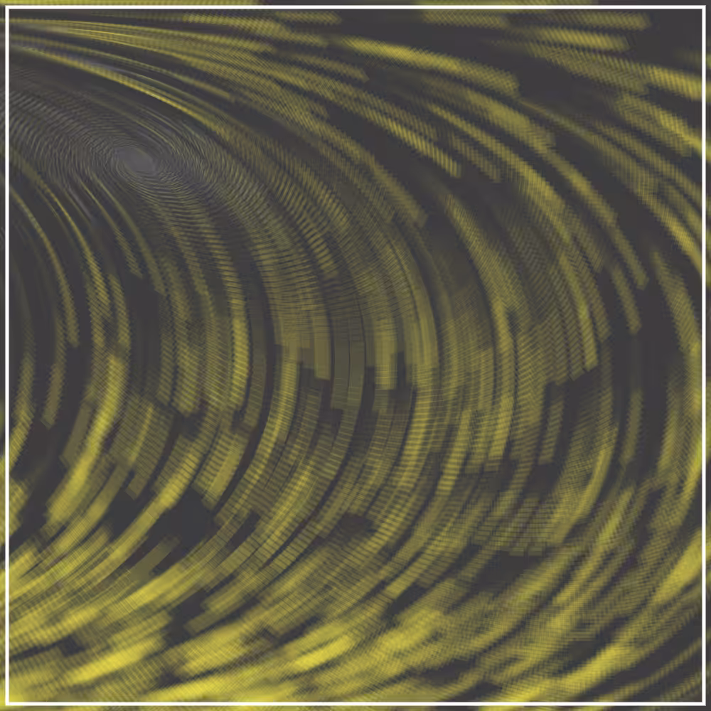 Flow Fields #01.02