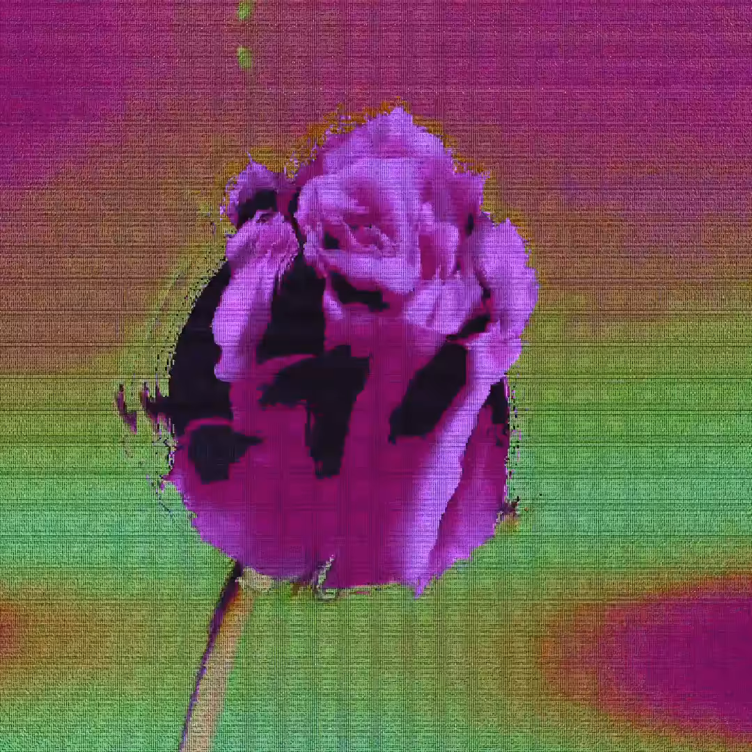 ⊱✿⊰ infinity fleur ⊱✿⊰